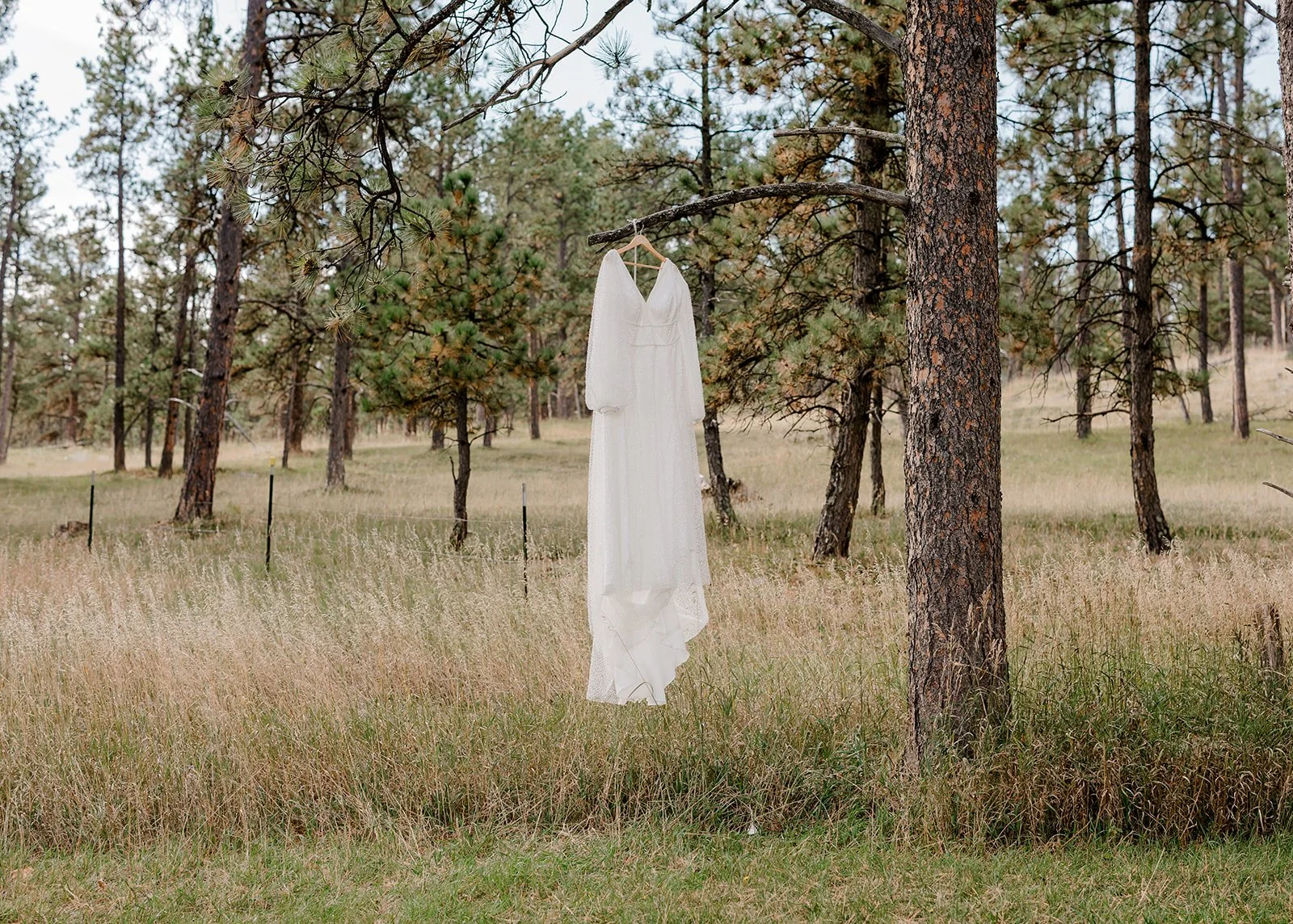 Erica + Jacob | Wedding at Woodland Receptions in the Black Hills