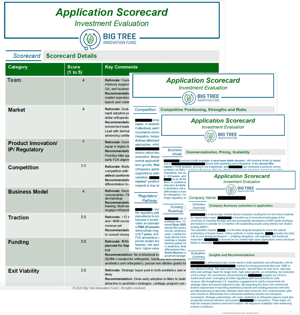 Funding Application — Big Tree Innovation Fund