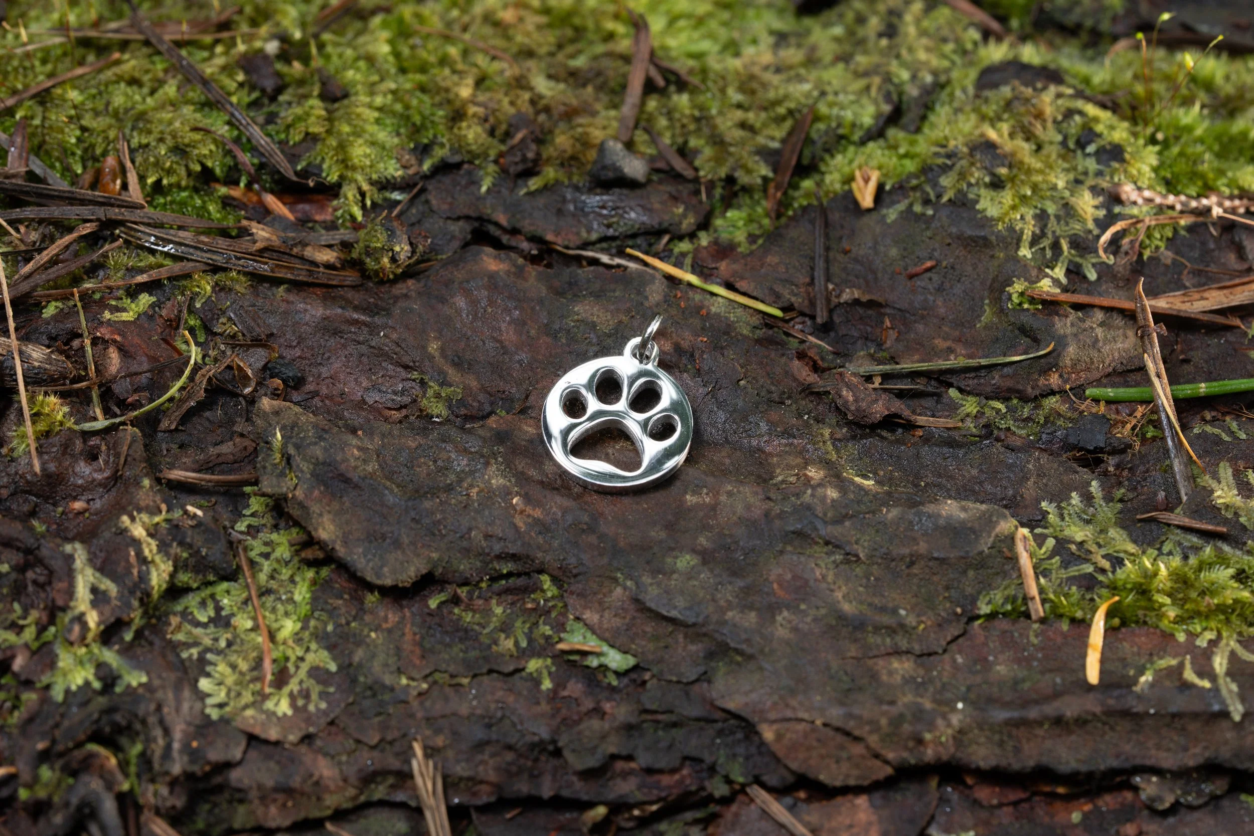 Miniature Paw Print