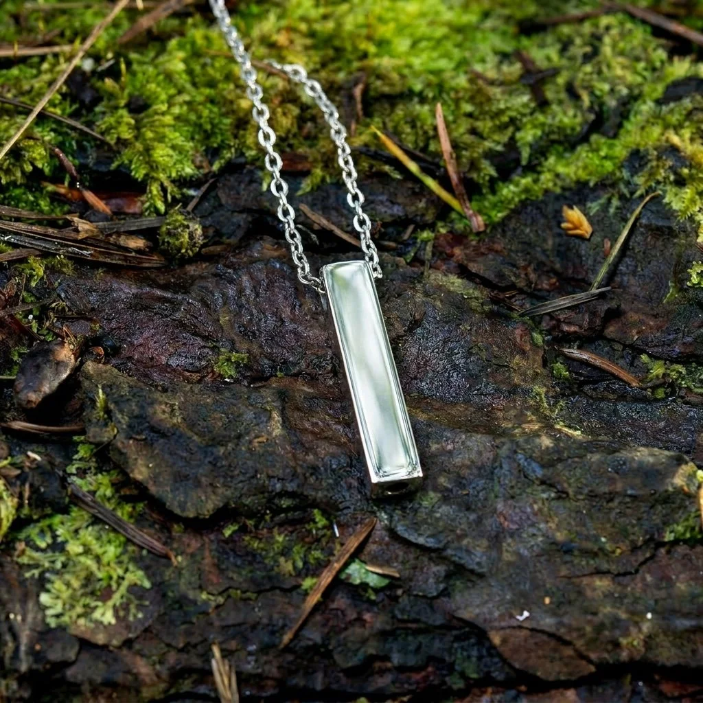 Silver w background.jpg