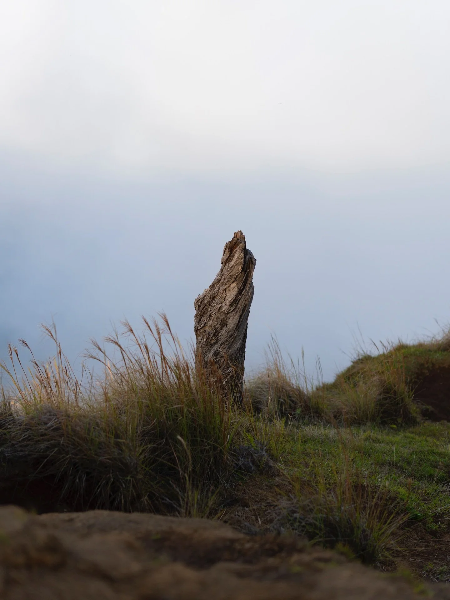 &ldquo;Forever Grounded&rdquo;
01.11.2025