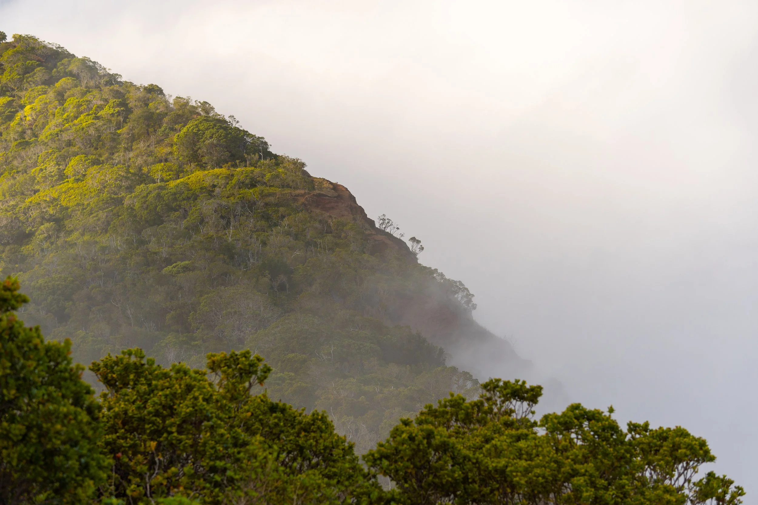 Saylor Buxcel Photography-2-2.jpg