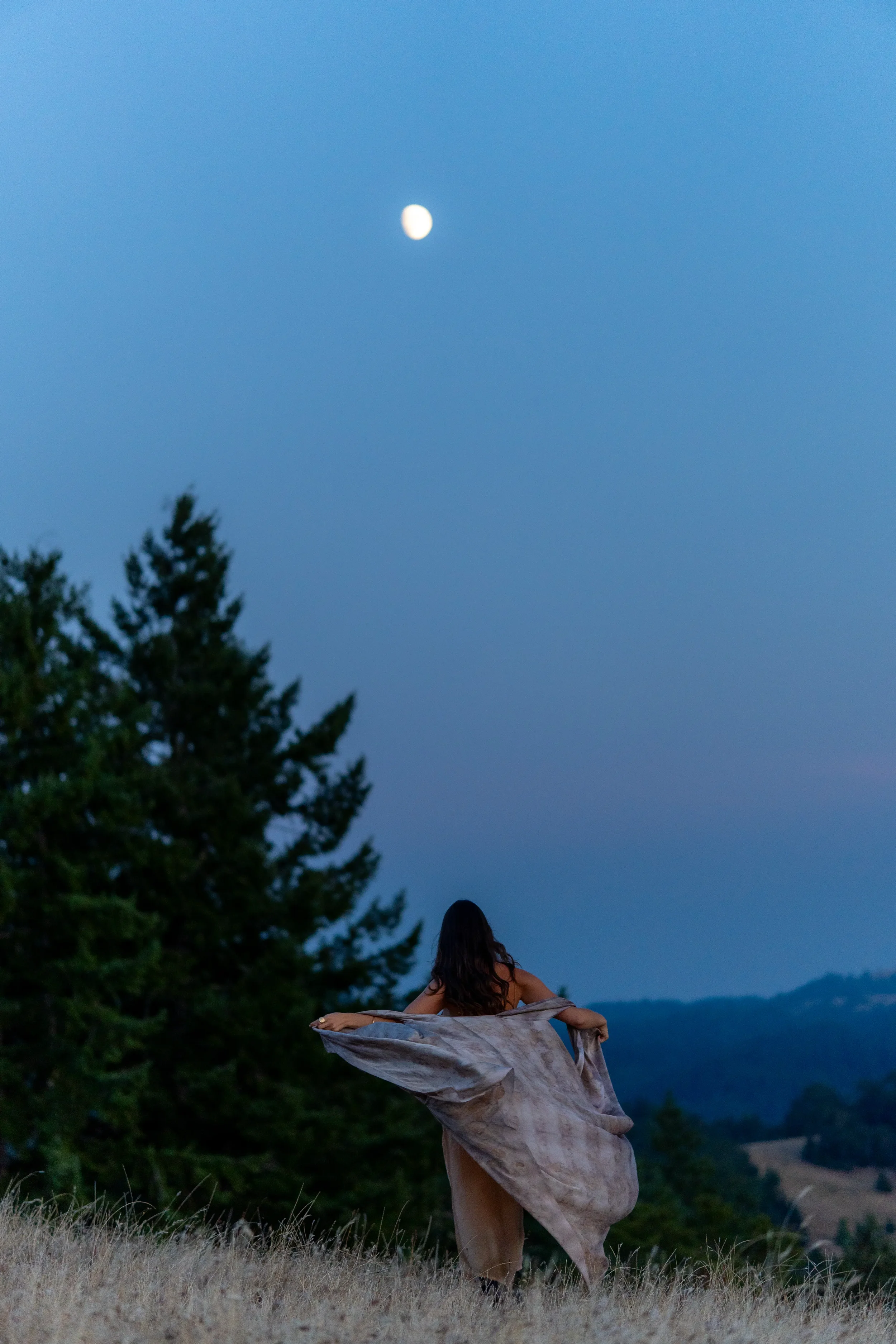 A woman with long hair stands in a grassy field with a flowing fabric around her, facing away. A large tree is to her left, and mountains are in the distance. The sky is twilight blue with a bright moon.