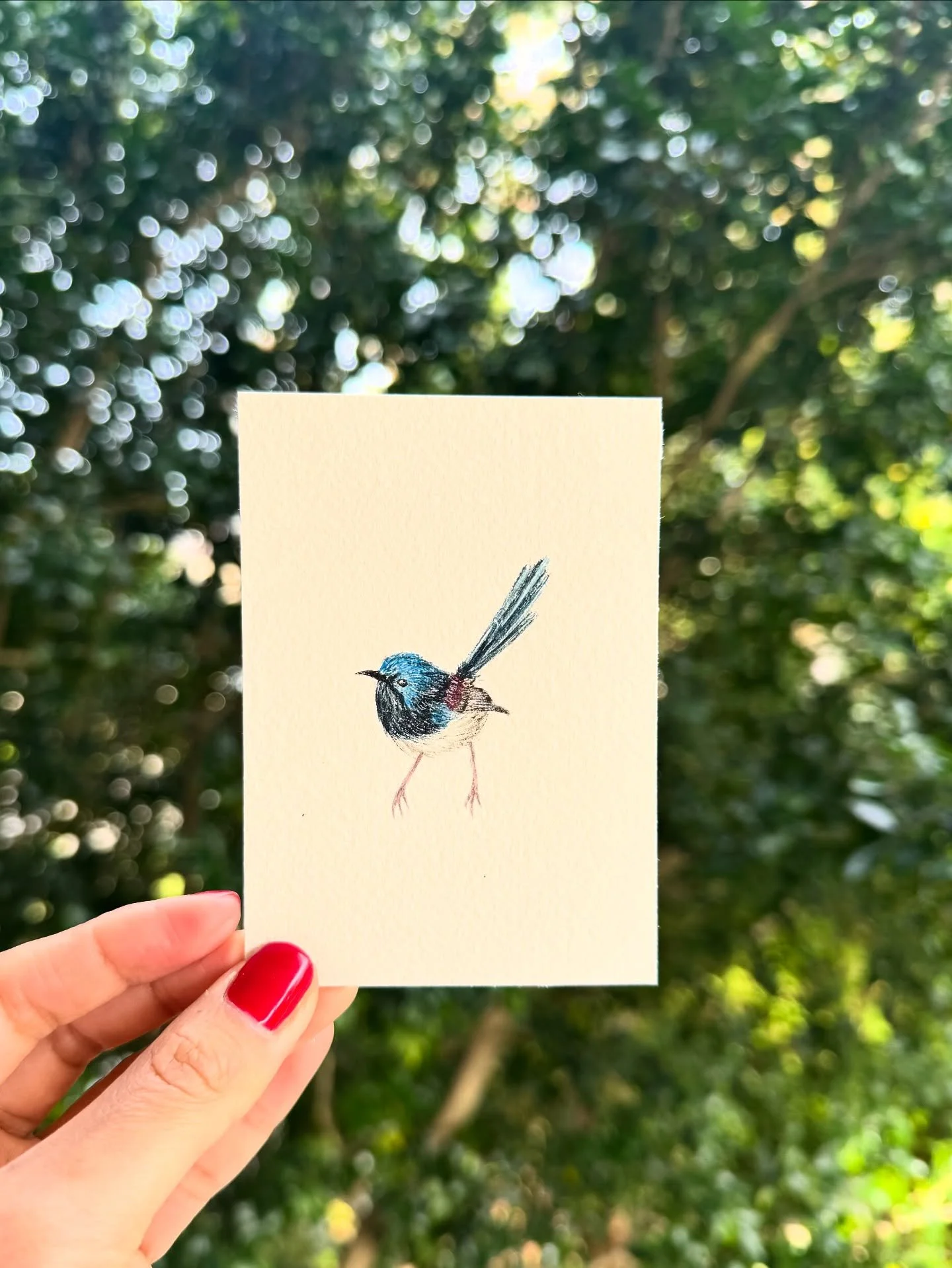 Superb Fairy Wren

Looking to commission a painting of your childhood home? Wedding venue? First date? Something else? Send a message and we can chat.

#superbfairywren #commission #watercolour #painting #wren #bird