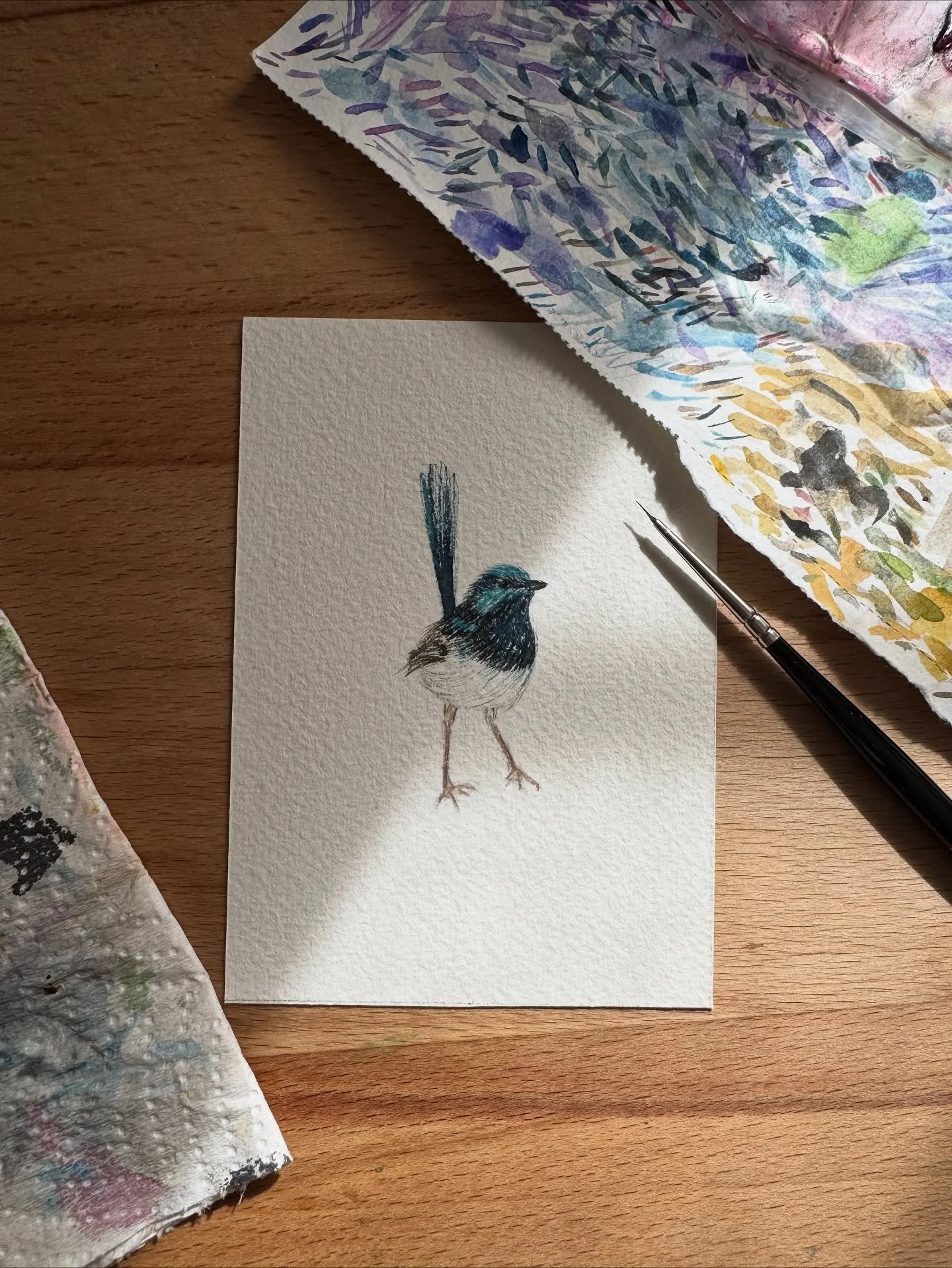 Superb Fairy Wren

Christmas is just around the corner! Surprise someone with a special painting of something they adore, their house, wedding venue, first date. Hit the link in my bio or send a DM

#commission #christmasgift #bespokegifts #painting 