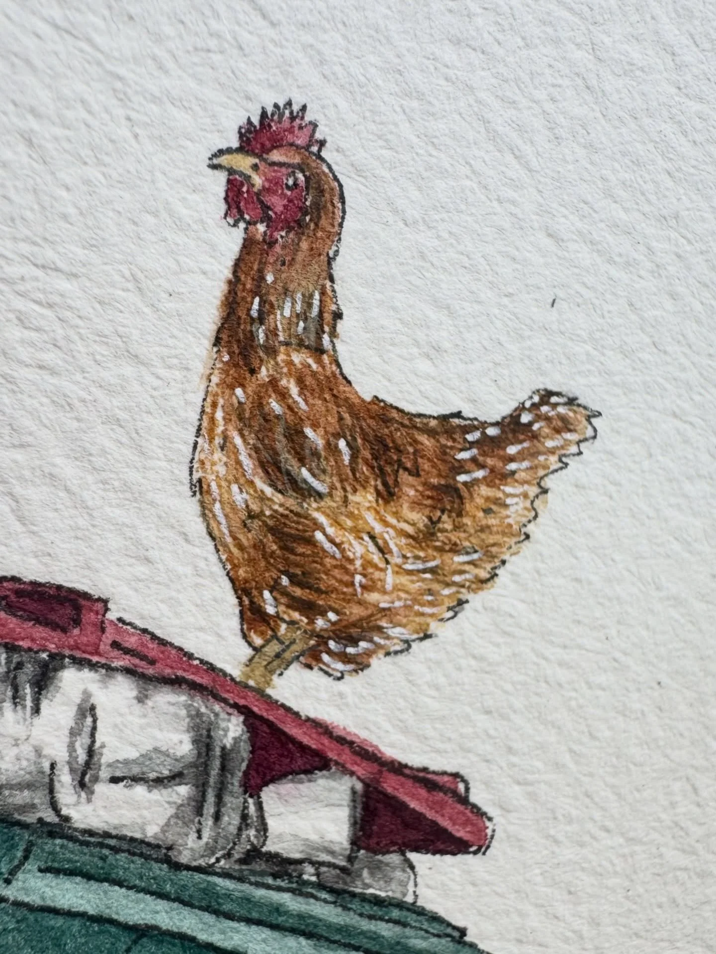 Did somebody say&hellip; bin chicken??

#binchicken #ibis #australiana #watercolour #bird