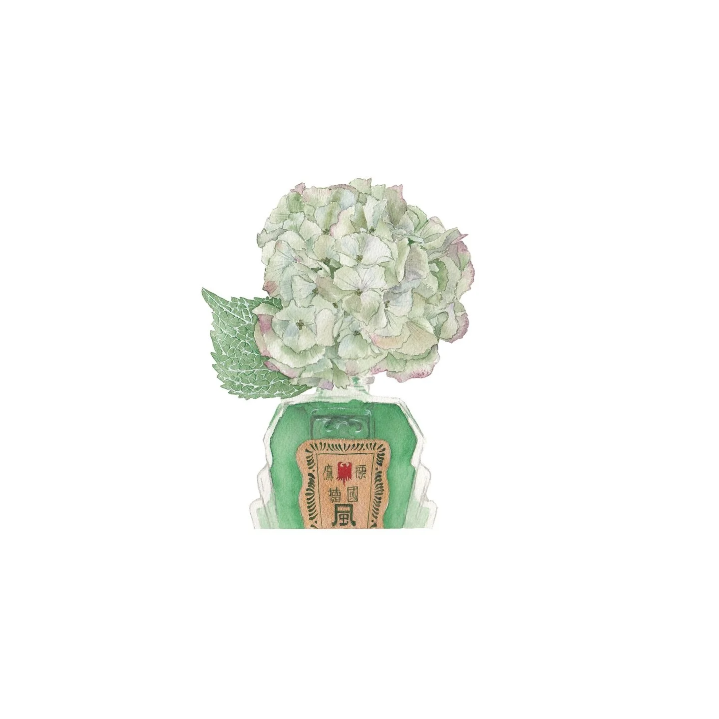 BOTANICAL CURE 

#incognitoartshow #incognitoartshow2025 #watercolour #windsorandnewton #hydrangeas #eaglebrand