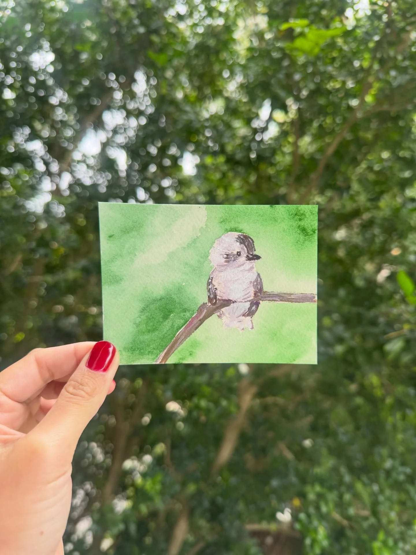 Kookaburra sits in the old gumtree 

Playing around with some acrylics

#acrylic #paint #kookaburra #practice #bird