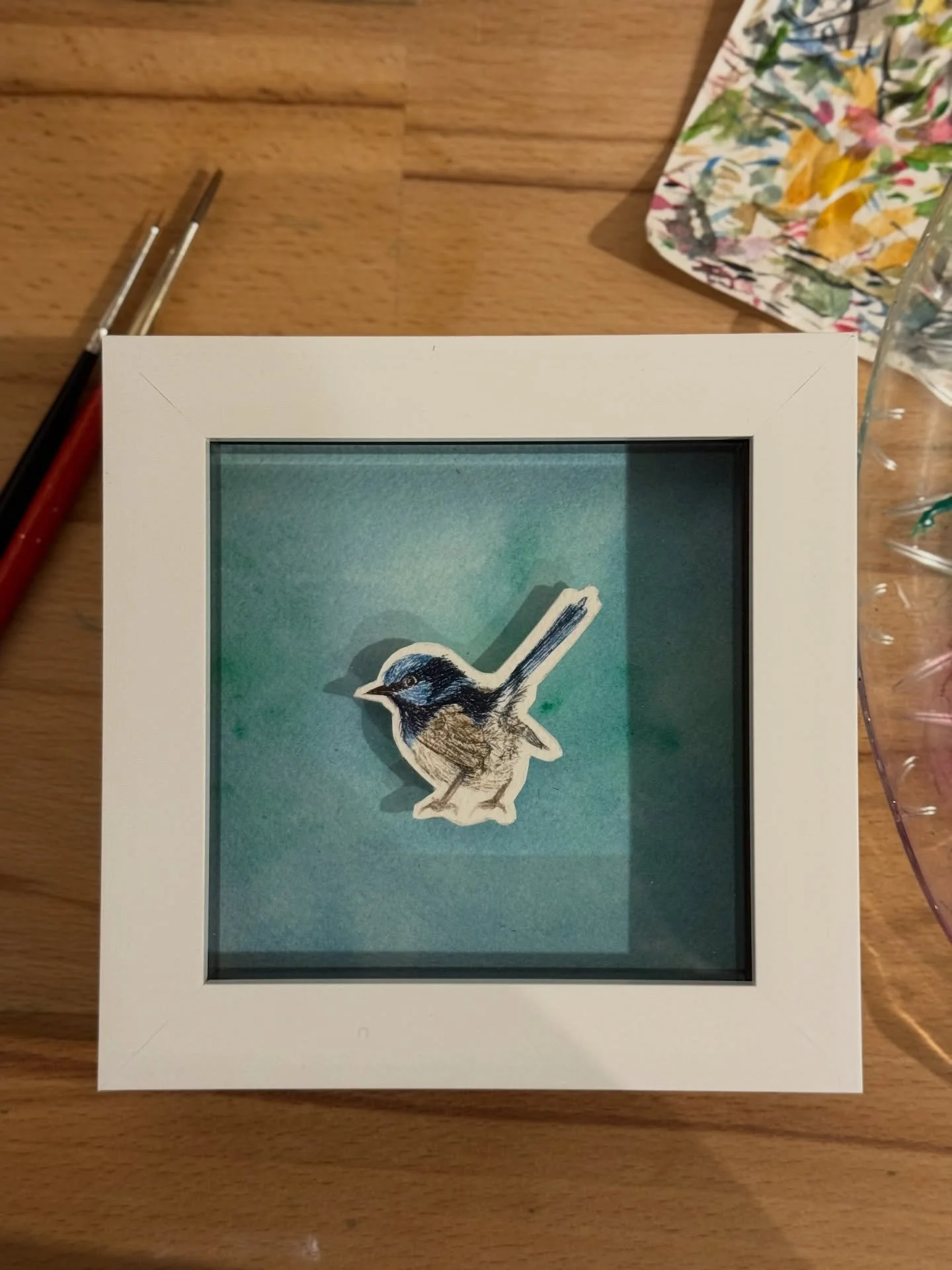 Let me see you shake your tailfeather

#watercolour #fairywren #shake #bird #paint