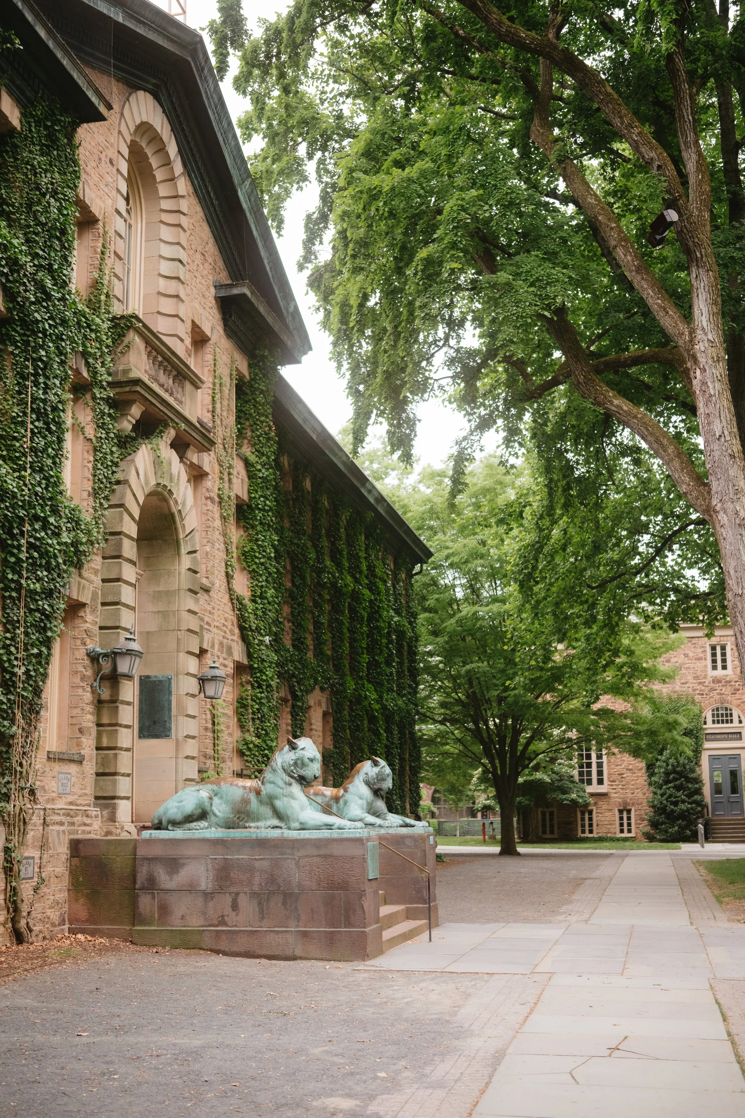 FXH29326.jpg