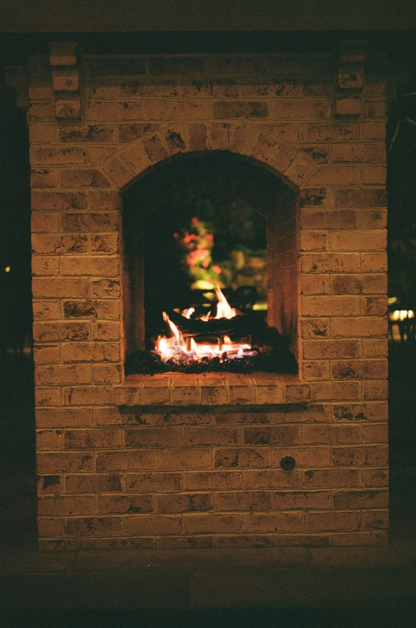 kodak_800_c_41_34939_110581_250199_000003940033.jpg