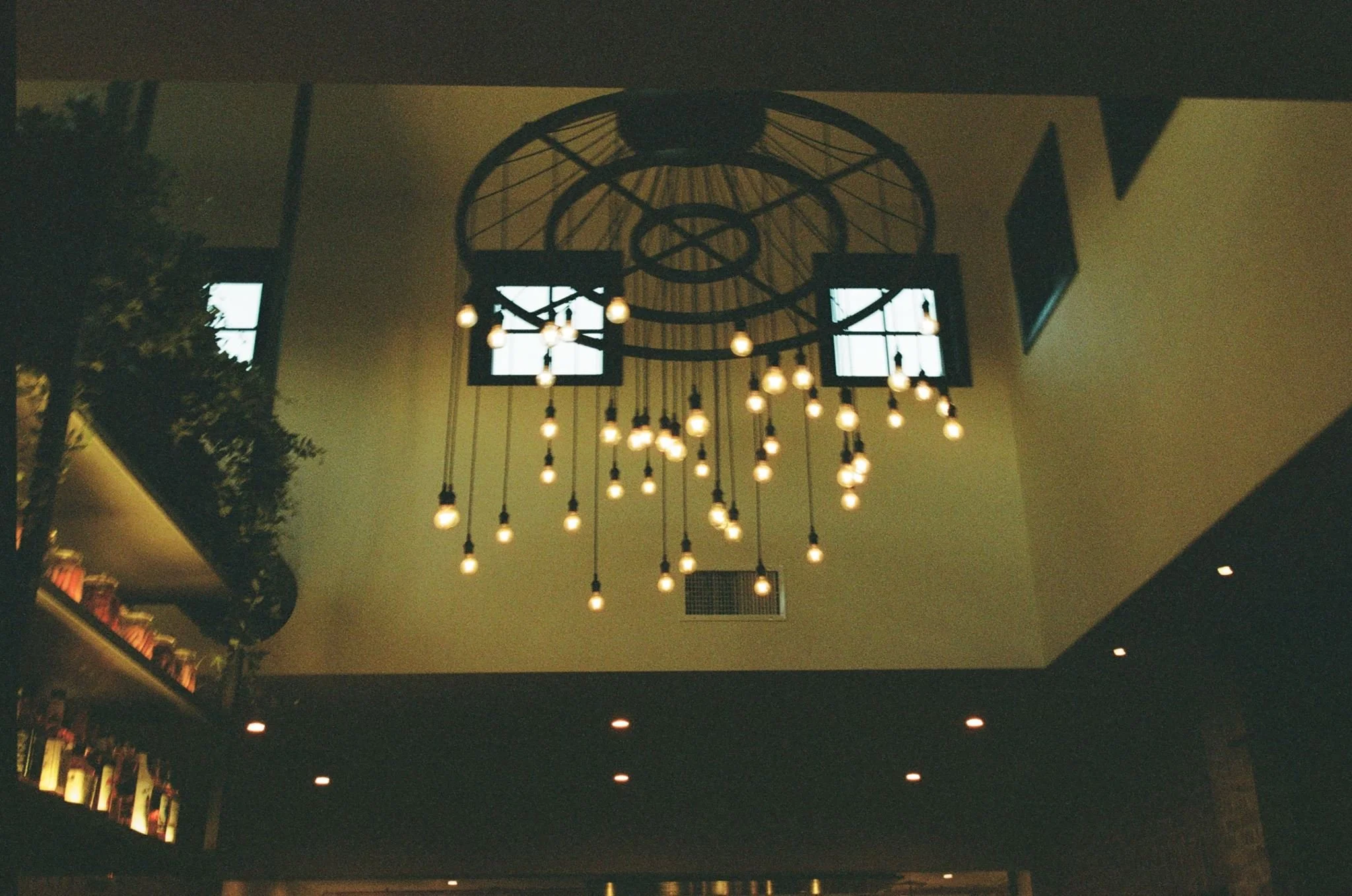 kodak_800_c_41_34939_110581_250199_000003940022.jpg