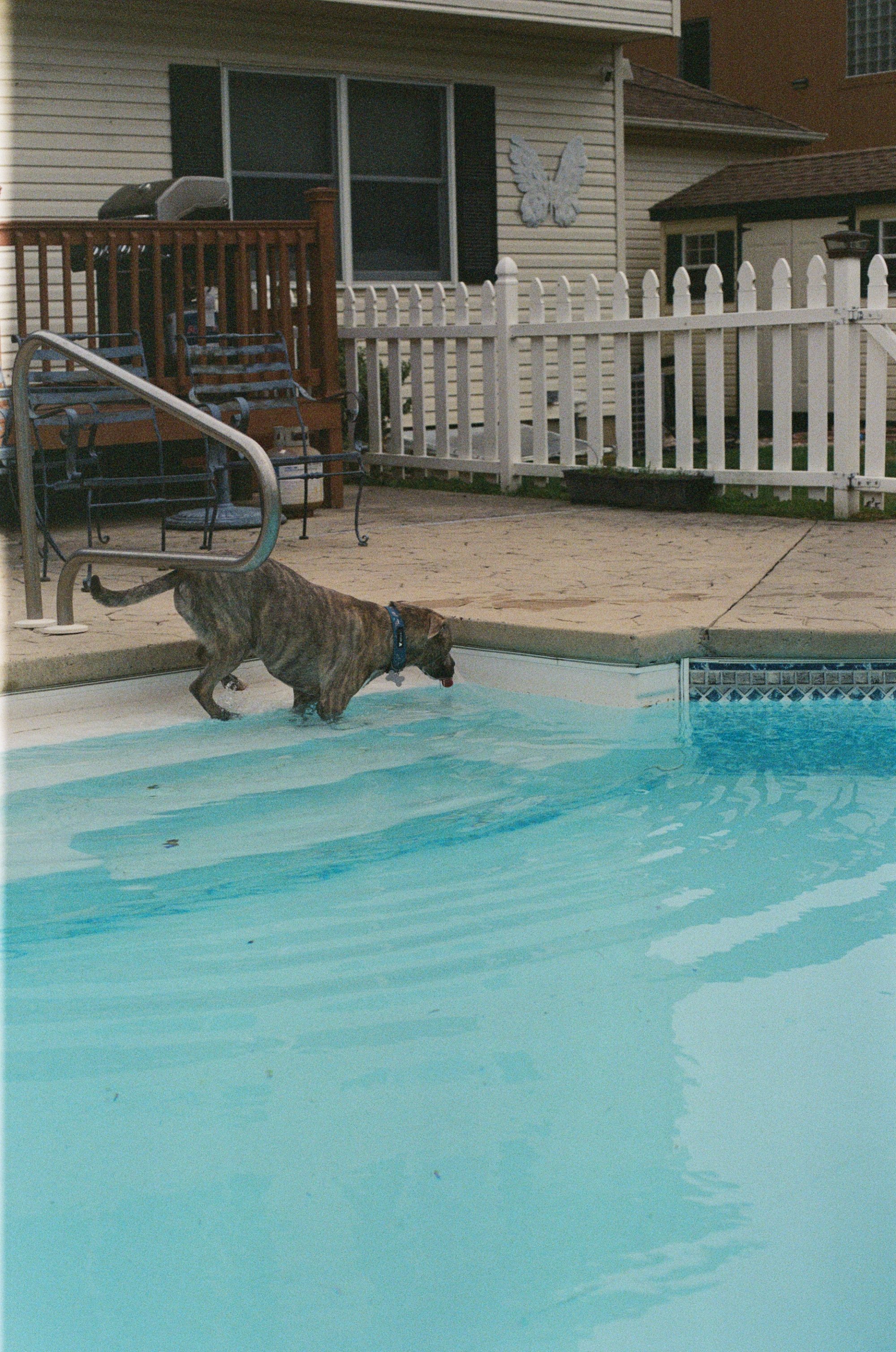 kodak_800_c_41_34939_141647_315983_000039270022.jpg