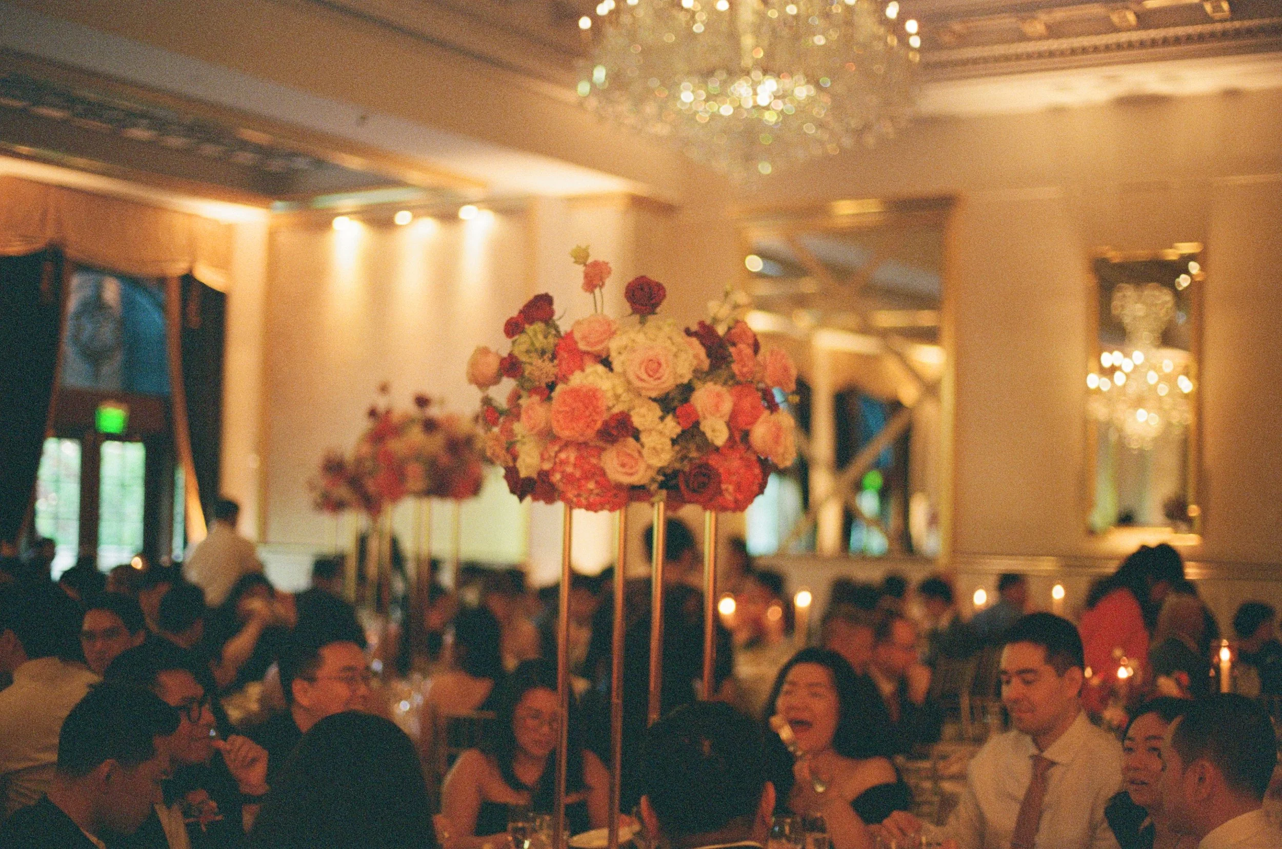 kodak_800_c_41_34939_141647_315983_000039270002.jpg