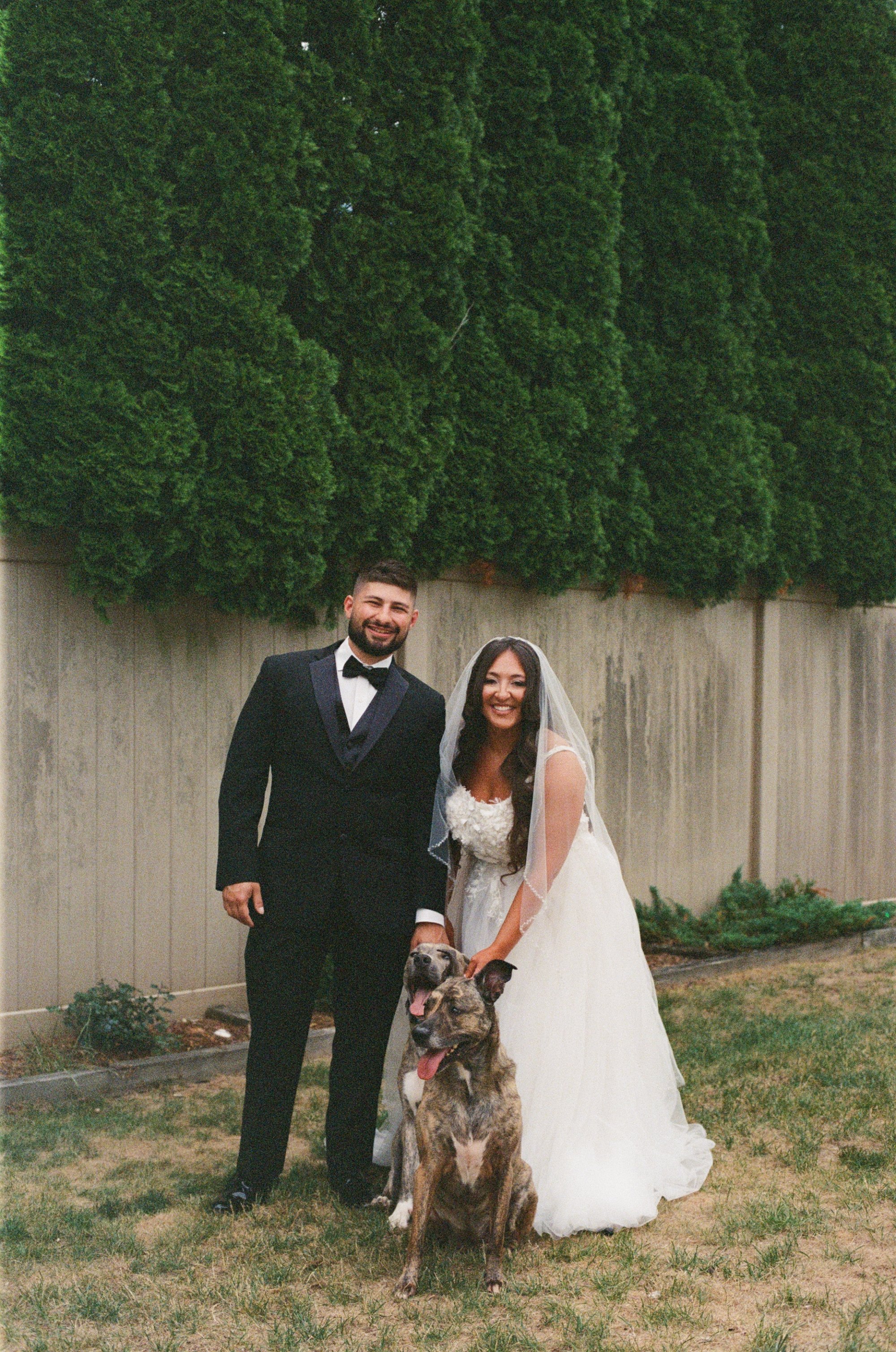 kodak_800_c_41_34939_141647_315983_000039270020.jpg