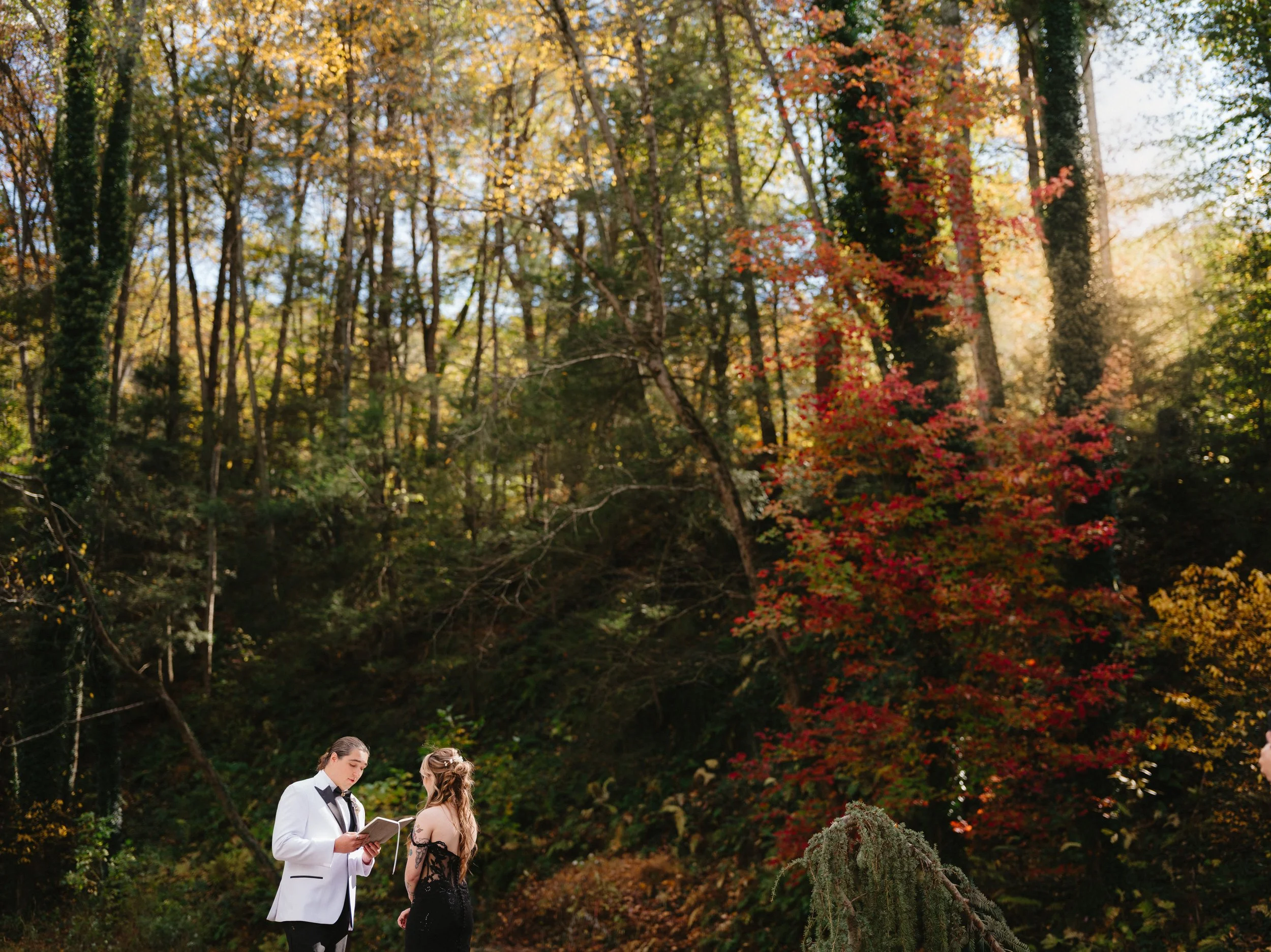 A couple dressed in formal attire stands outdoors in a wooded area with trees displaying autumn colors. The man is reading from a book or paper while the woman listens attentively.