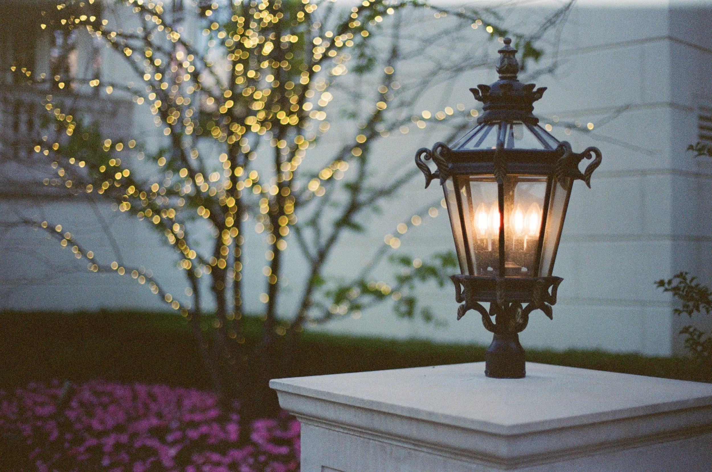 kodak_800_c_41_34939_141647_315983_000039270008.jpg