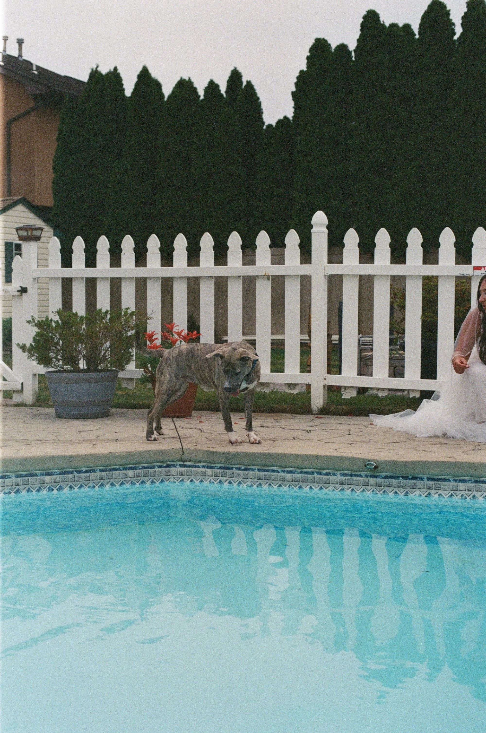 kodak_800_c_41_34939_141647_315983_000039270023.jpg