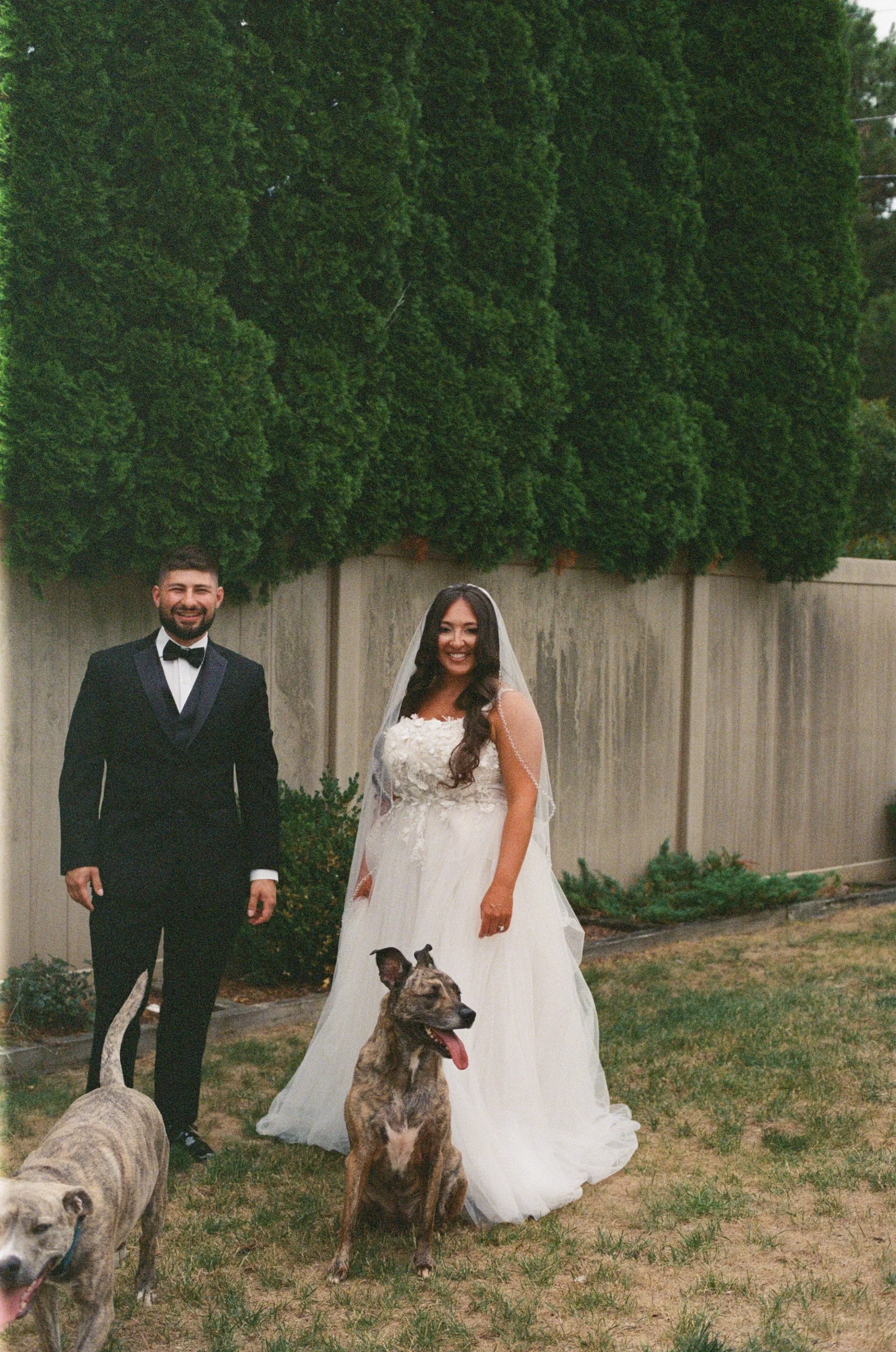 kodak_800_c_41_34939_141647_315983_000039270019.jpg