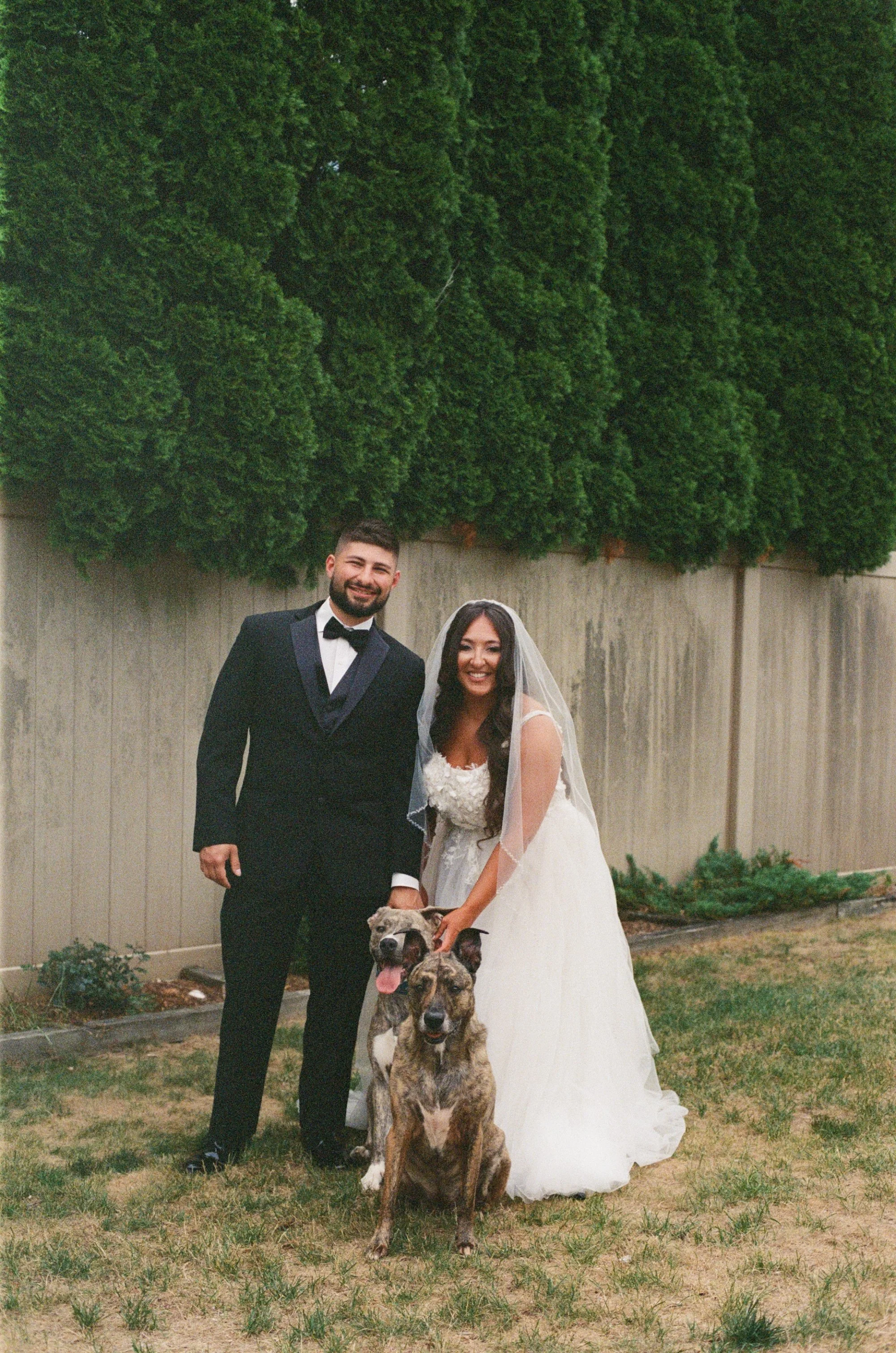 kodak_800_c_41_34939_141647_315983_000039270021.jpg