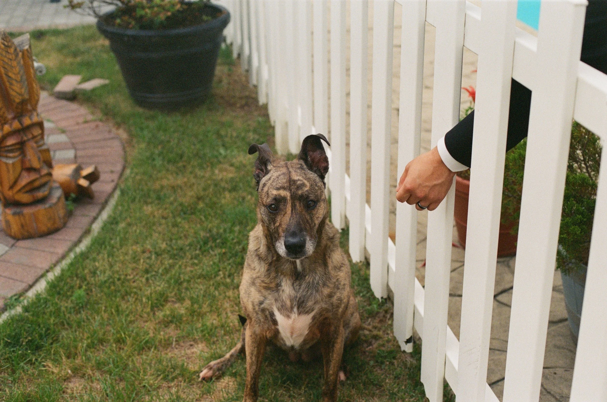 kodak_800_c_41_34939_141647_315983_000039270018.jpg