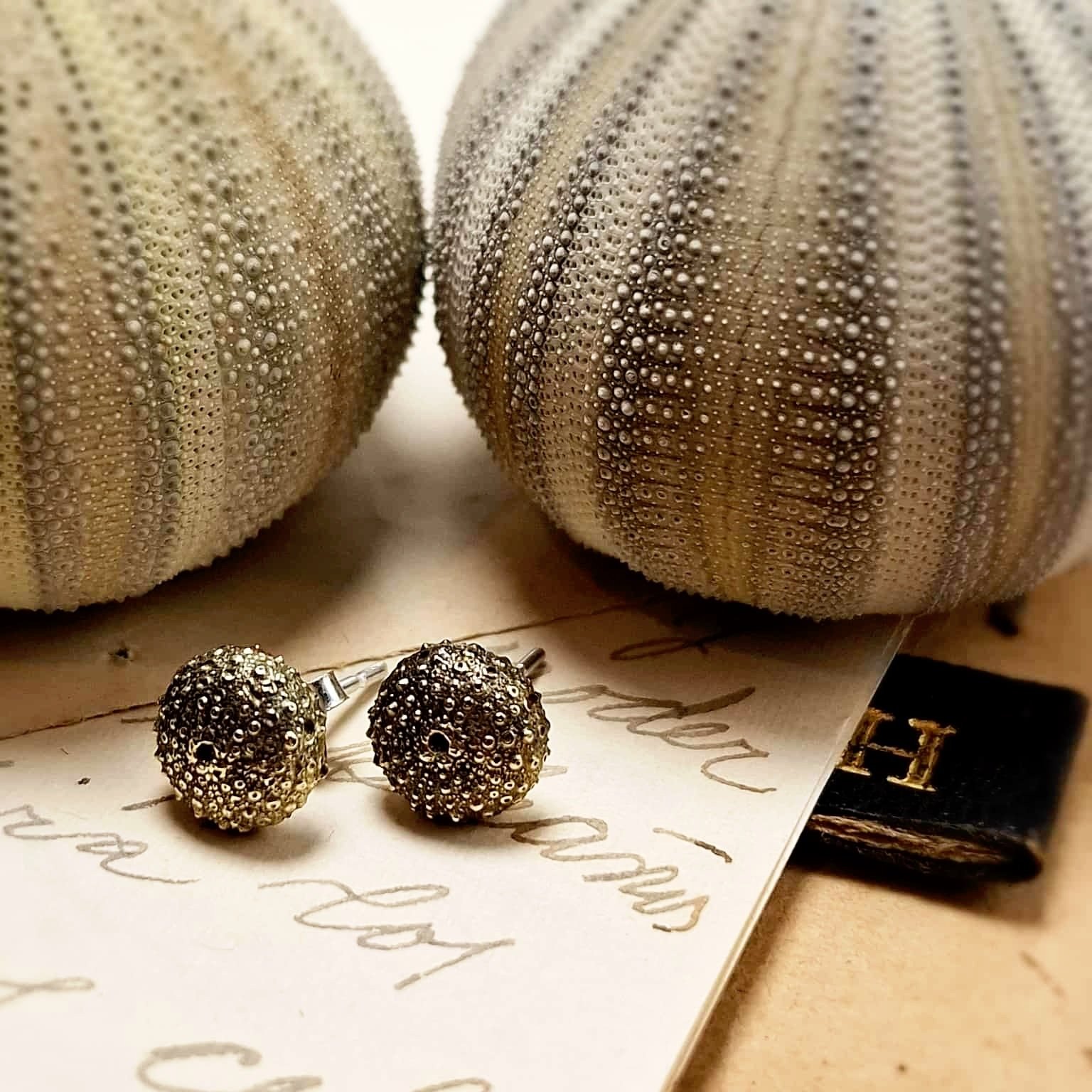 Brass Sea Urchin Stud Earrings