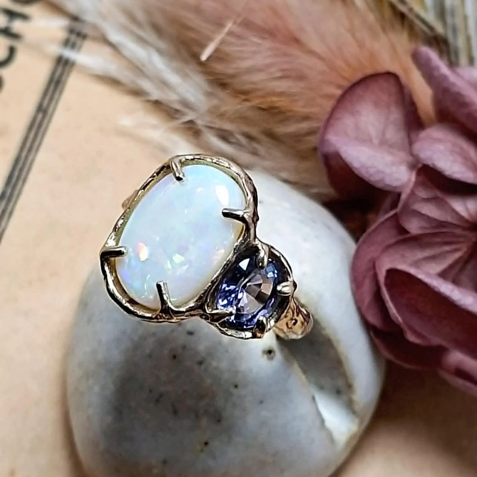 ffe34417-9b00-4fd0-8c4b-b3c5c2f7ea13.jpg