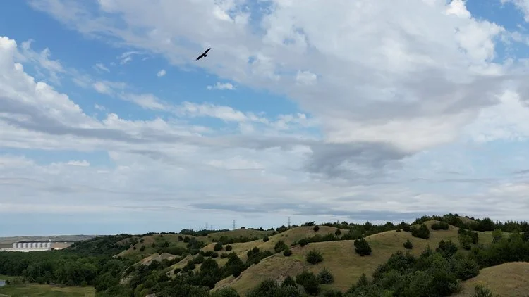 Tatanka Oyate Preservation Society