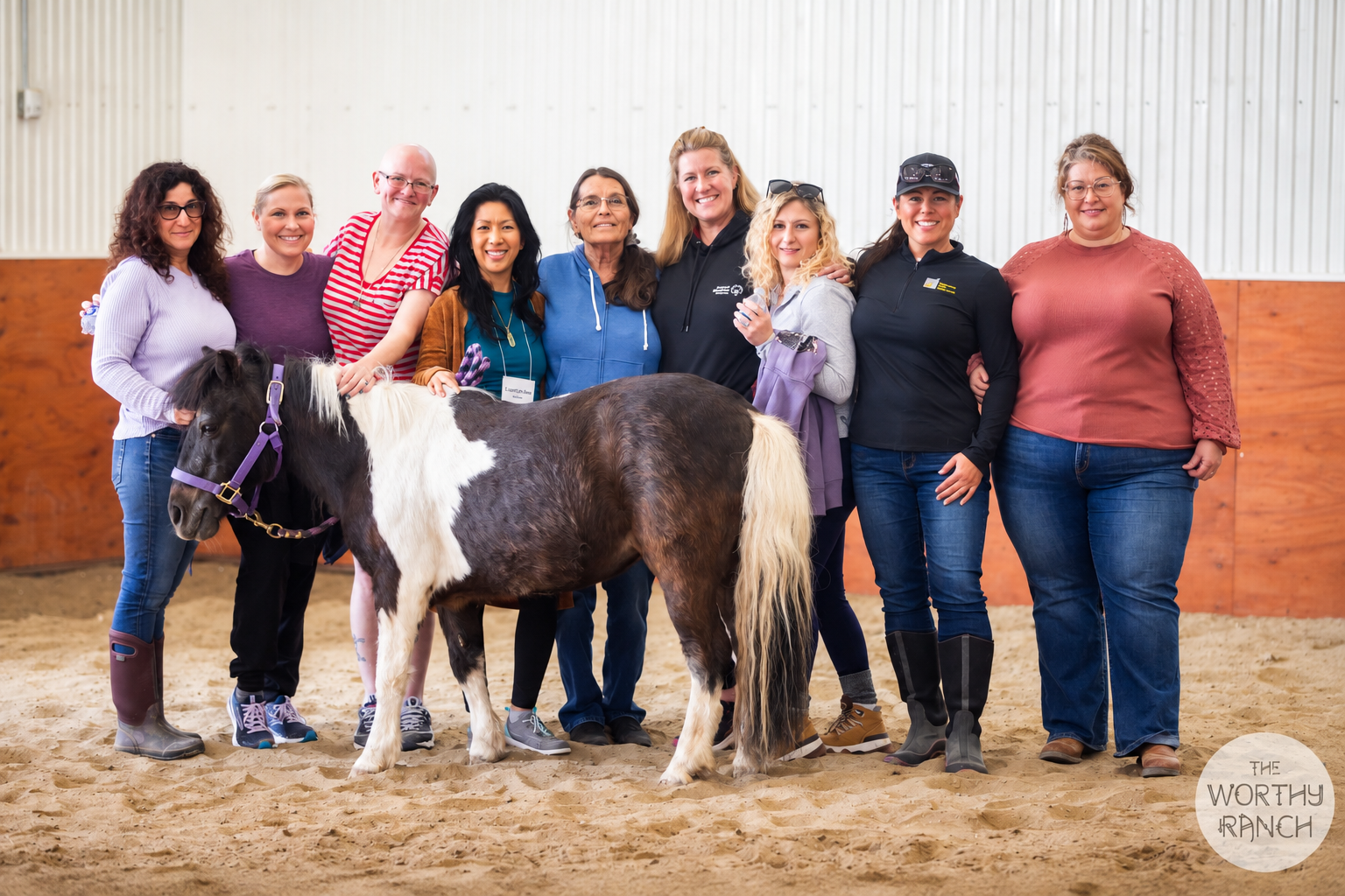 equine workshop.png