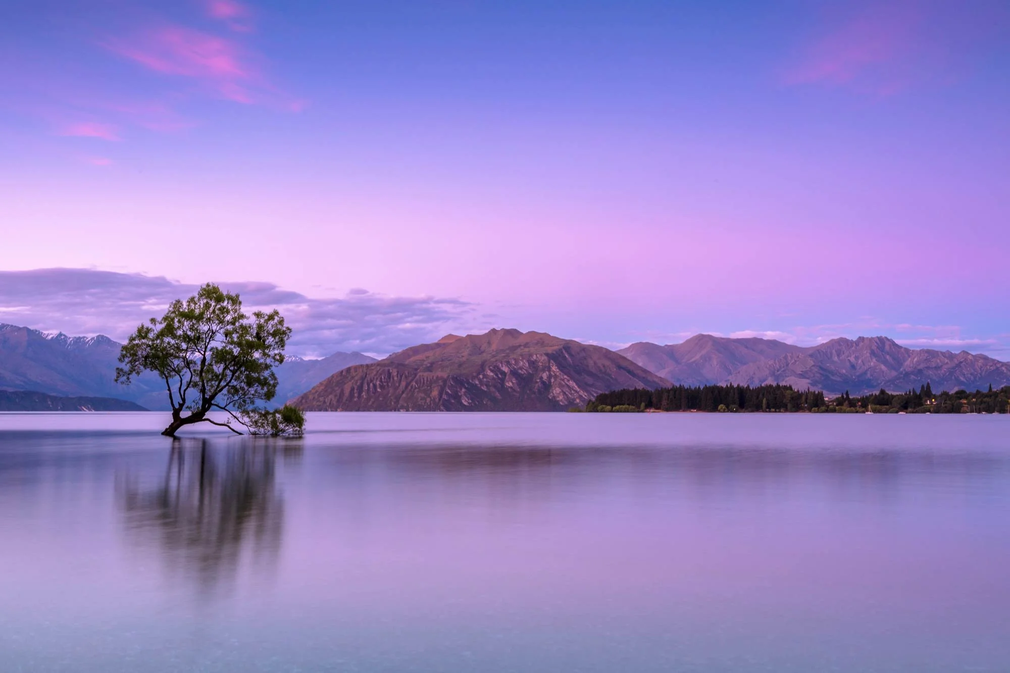 Solo tree standing in a calm river with mountain and forest landscape in the background during dusk.
