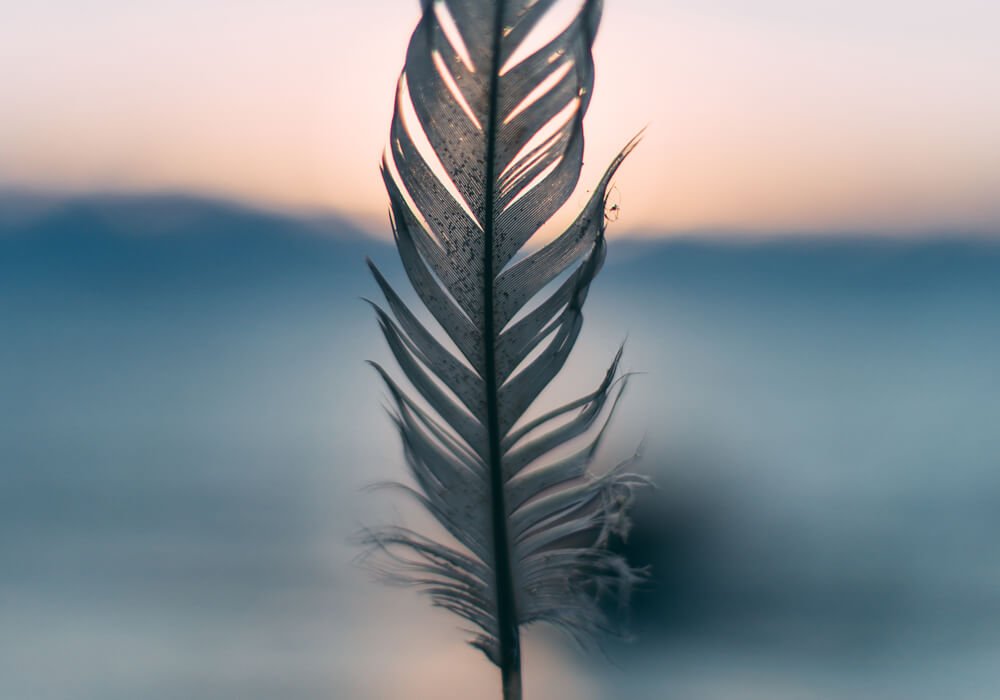 Yoga Nidra Healing Practice