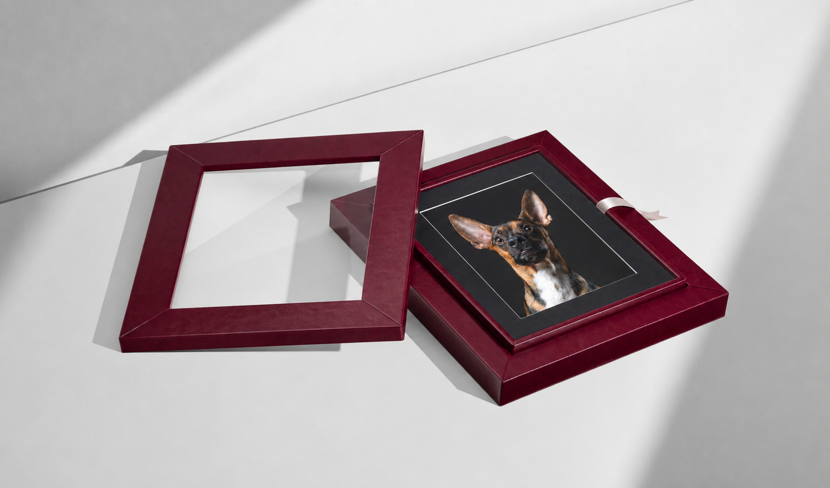 Custom framed pet portrait artwork featuring a dog photographed in a luxury studio-style session.