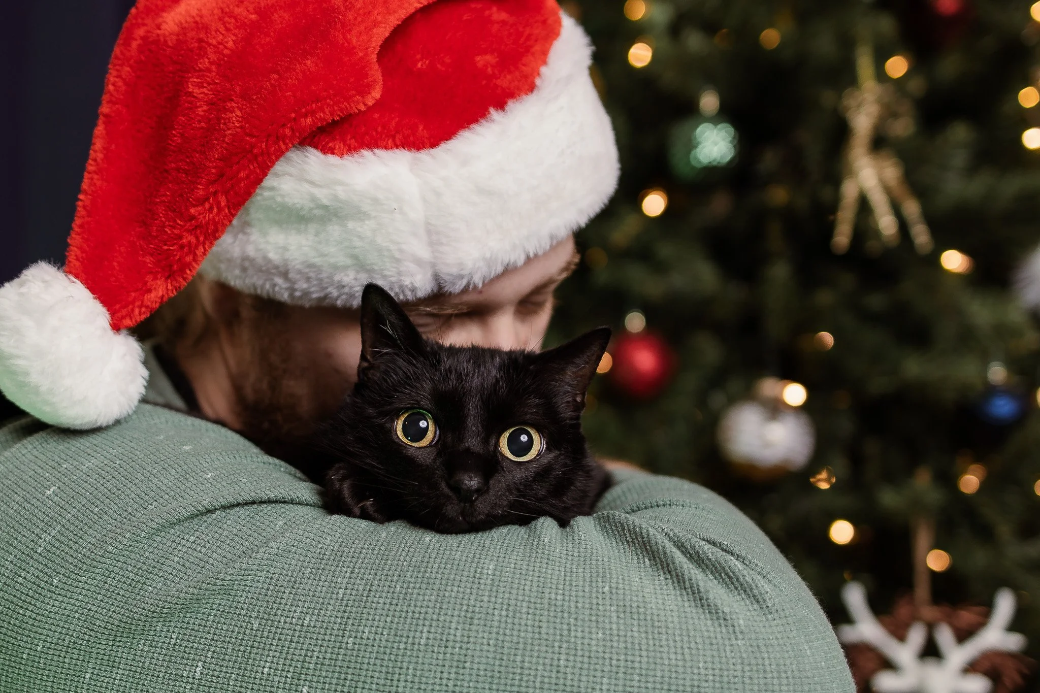 Person wearing a Santa hat holding a black cat with large yellow eyes in front of a decorated Christmas tree.