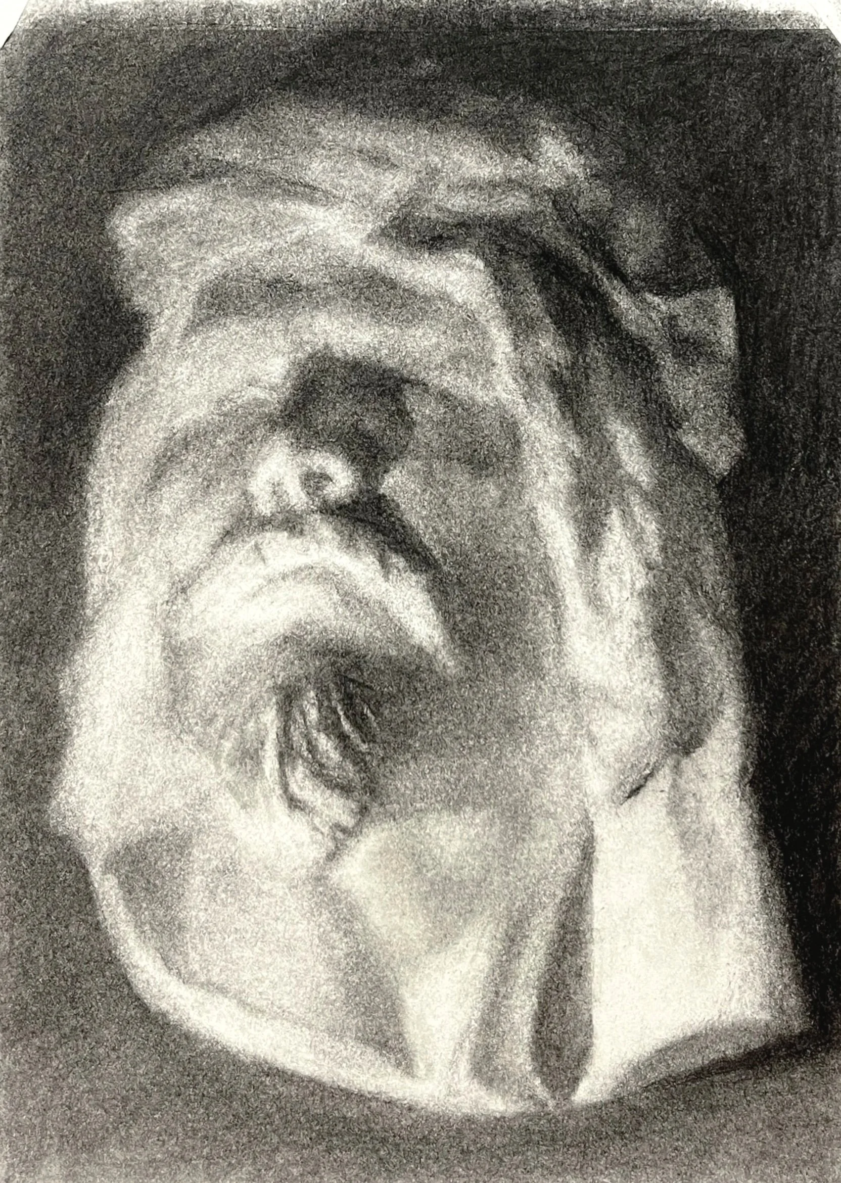 charcoal on paper, 9" x 12", 2024