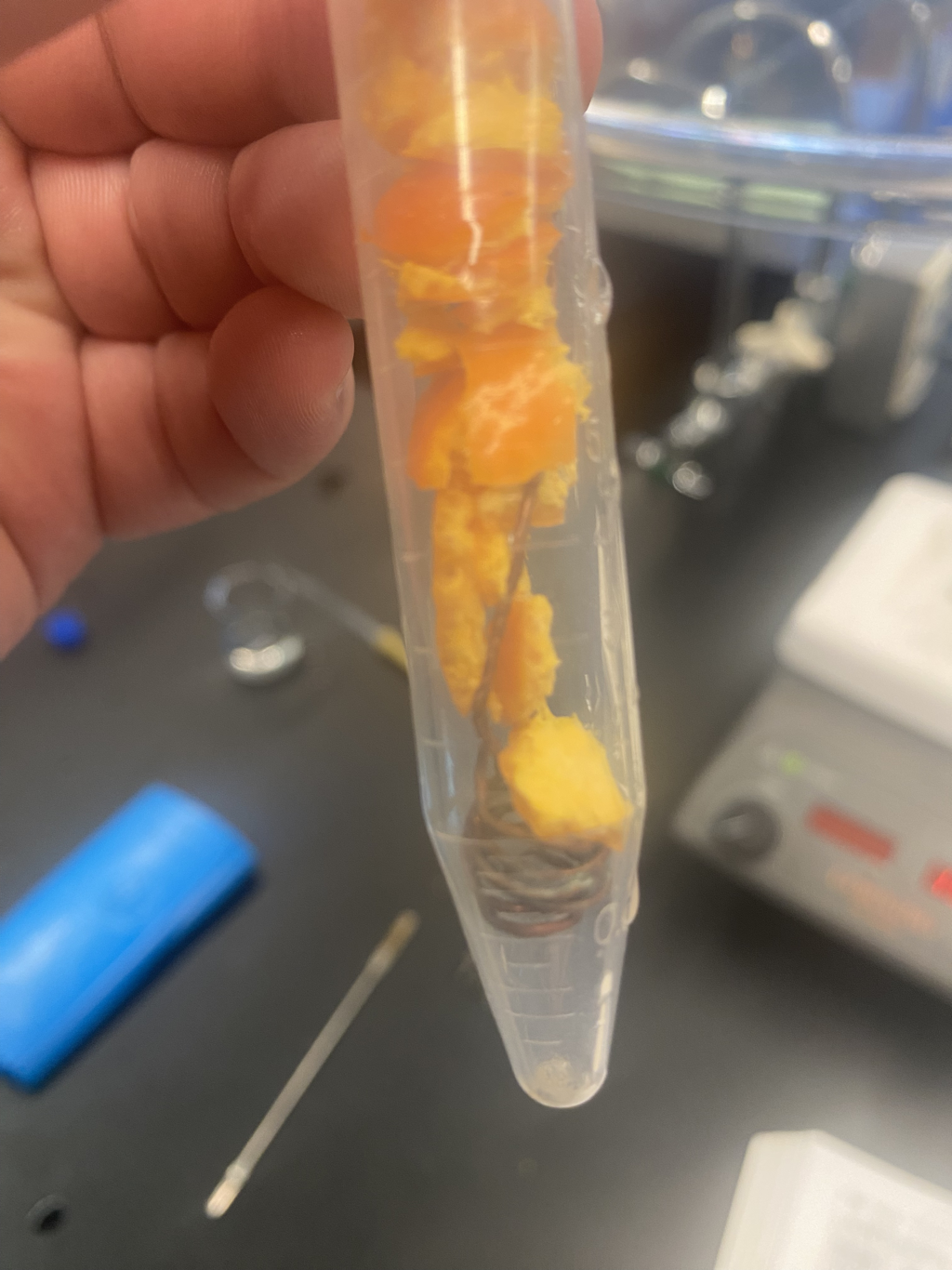 CO2 Extractions at Home