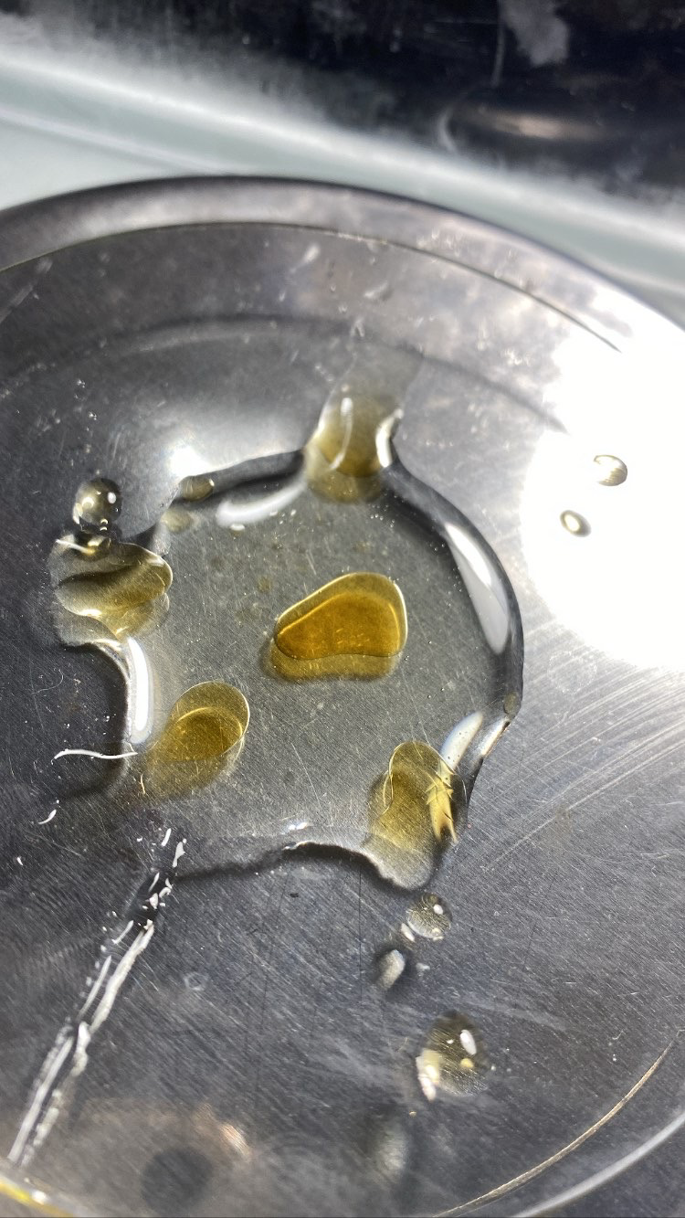 Bakuchiol and Rosehip Facial Serum