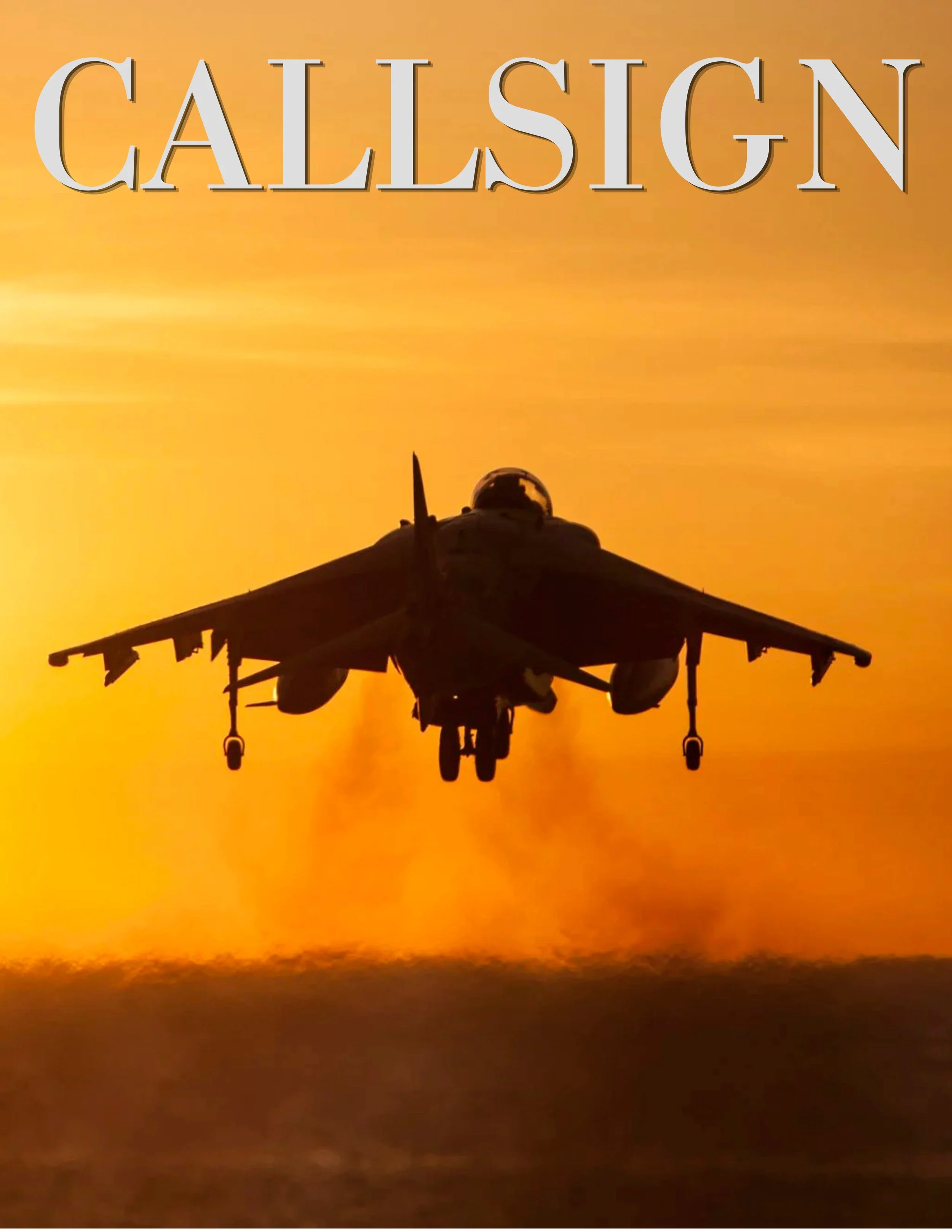 An aircraft flying against a bright orange sunset sky with the word 'CALLSIGN' in large letters at the top.
