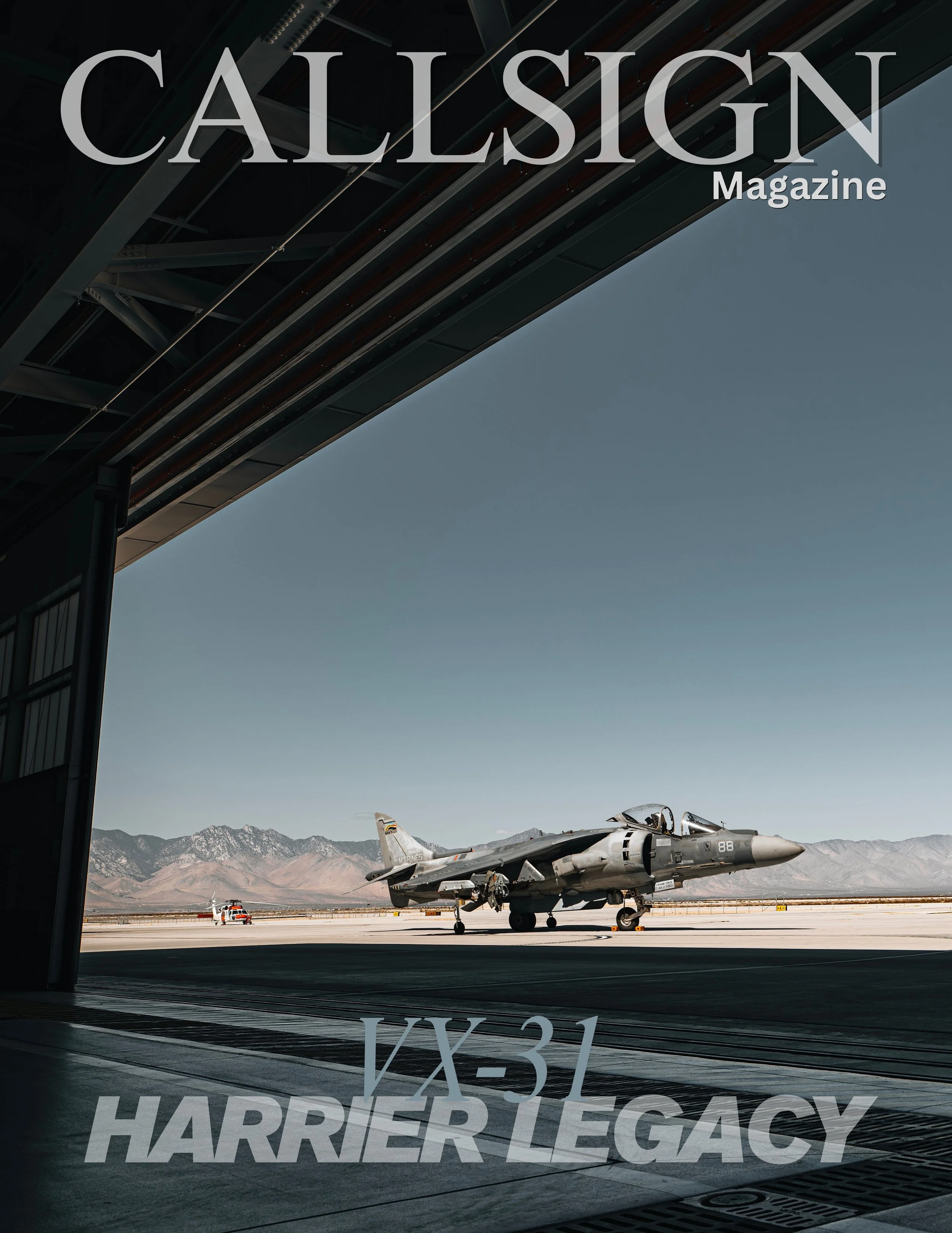 AV-8 Harrier - VX-31 Dust Devils