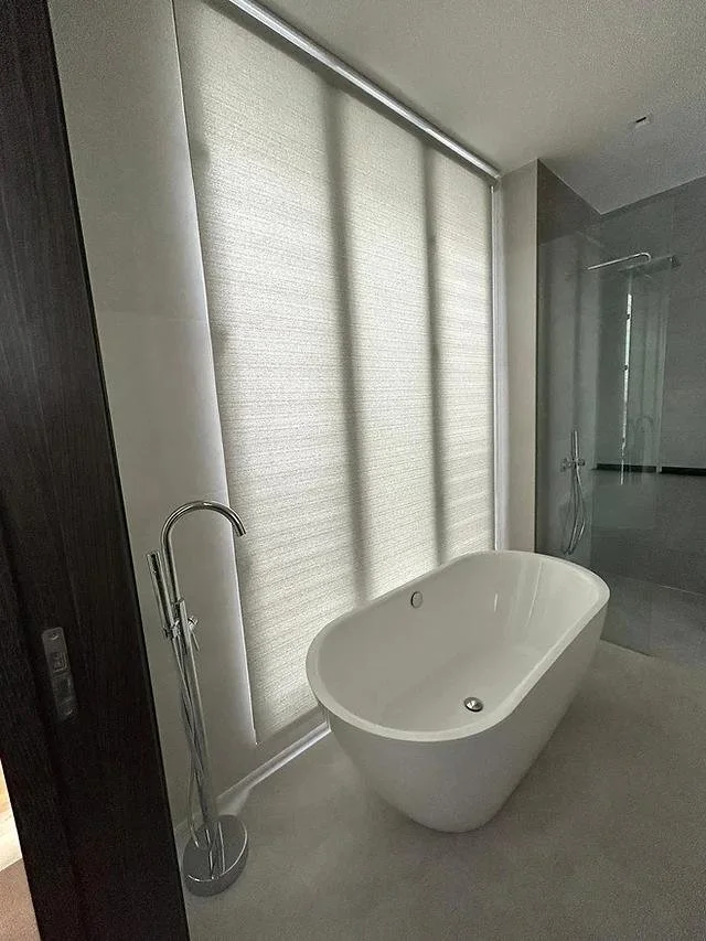 WhatsApp Image 2024-11-19 at 16.16.50.jpeg