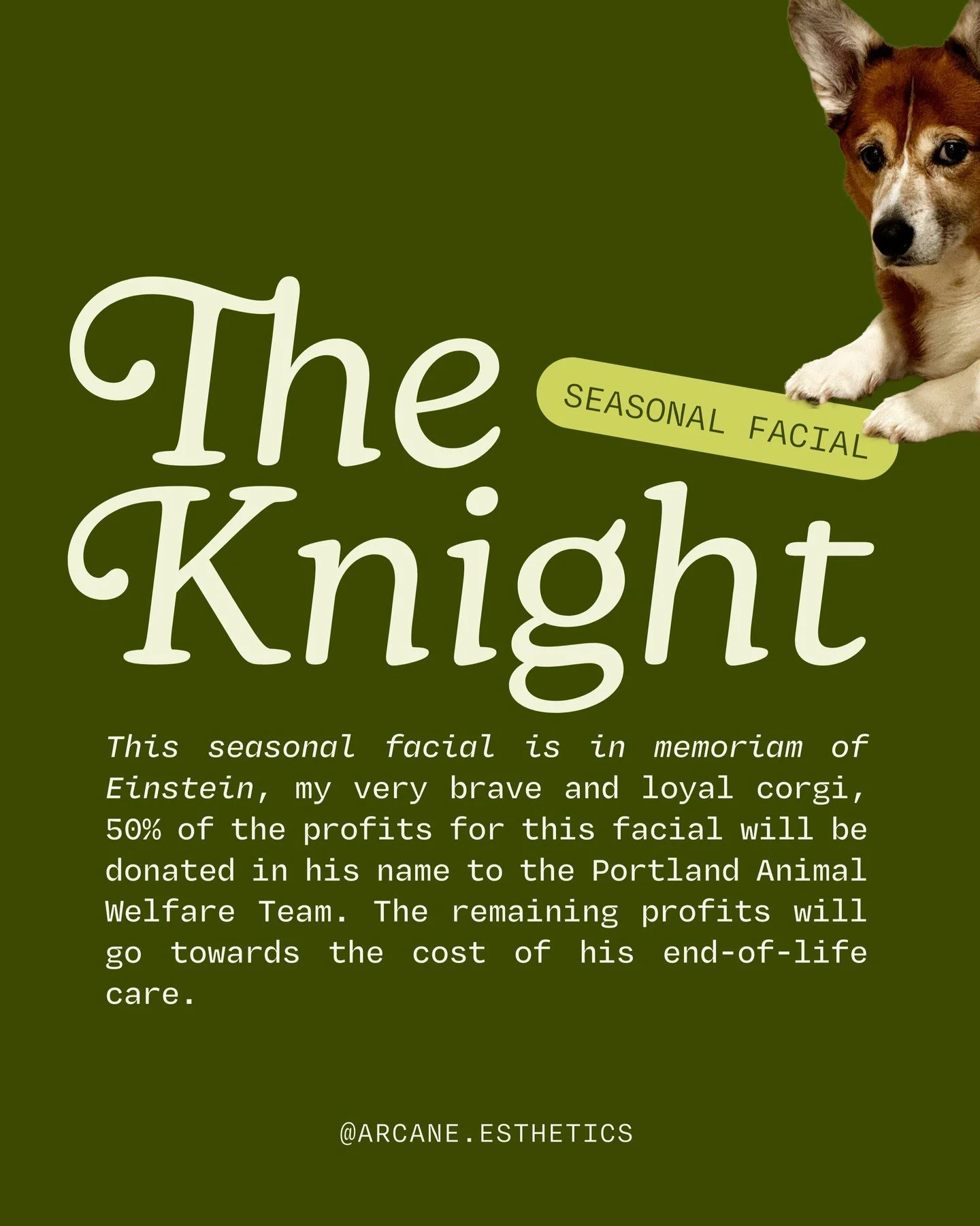 hi friends,

as many of you know by now, i had to say goodbye to my very best boy last week. to honor his memory, 50% of the profits from this facial will be donated to Portland Animal Welfare Team. they assist low-income and houseless community memb