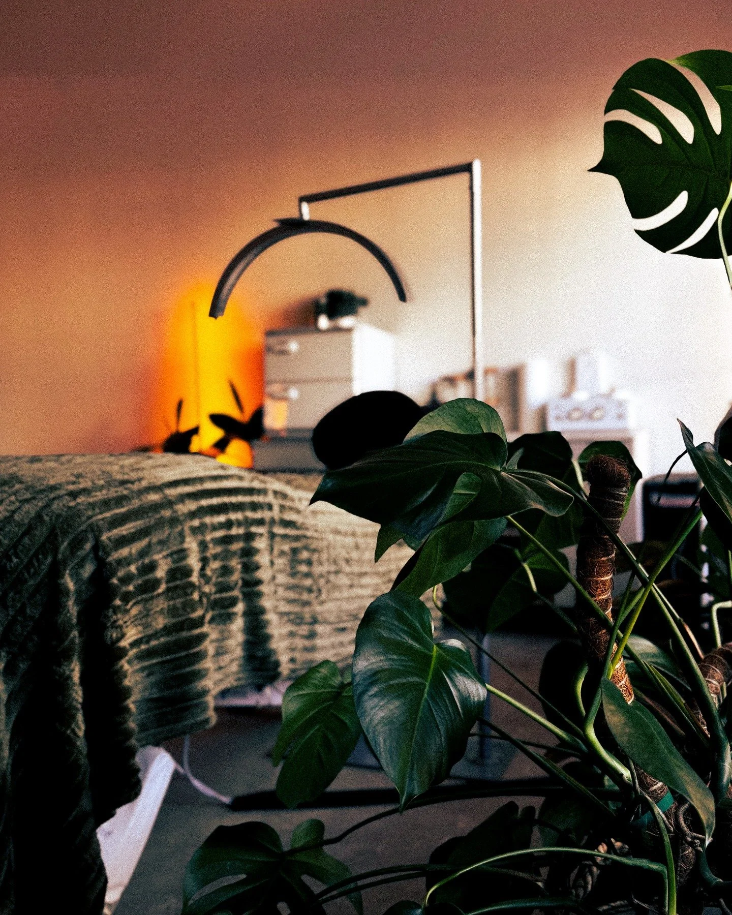 starting to settle in and lovinggggg the vibes in the studio! it's so cozy. &lt;3

when i moved to portland in 2018, i actually lived a few blocks away from the new studio space. at the time, i was navigating a divorce and trying to find my footing i