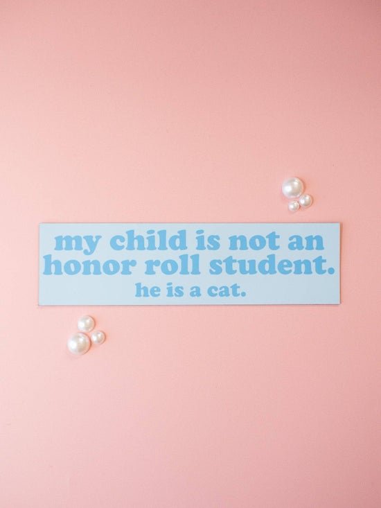 cat-honor-roll-boy-cover.jpeg