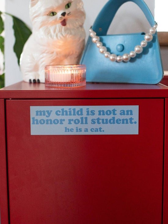 cat-honor-roll-boy2.jpeg