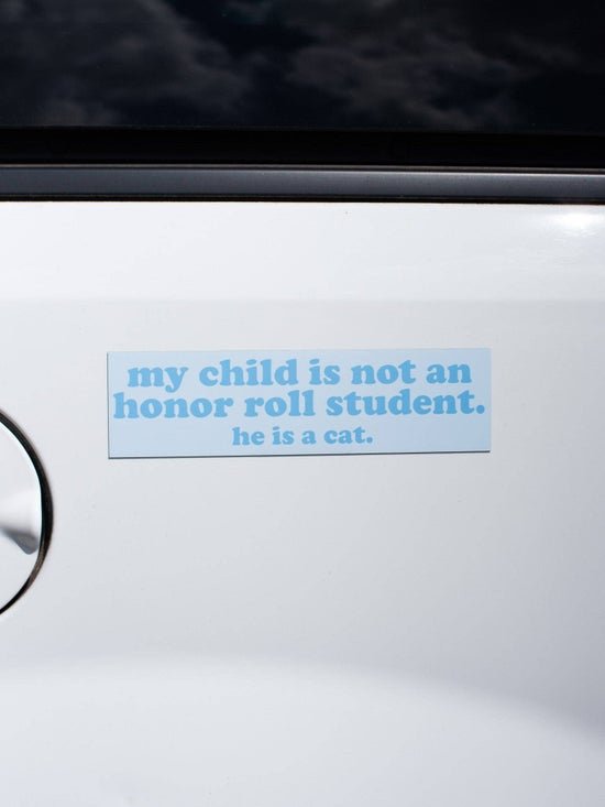 cat-honor-roll-boy.jpeg