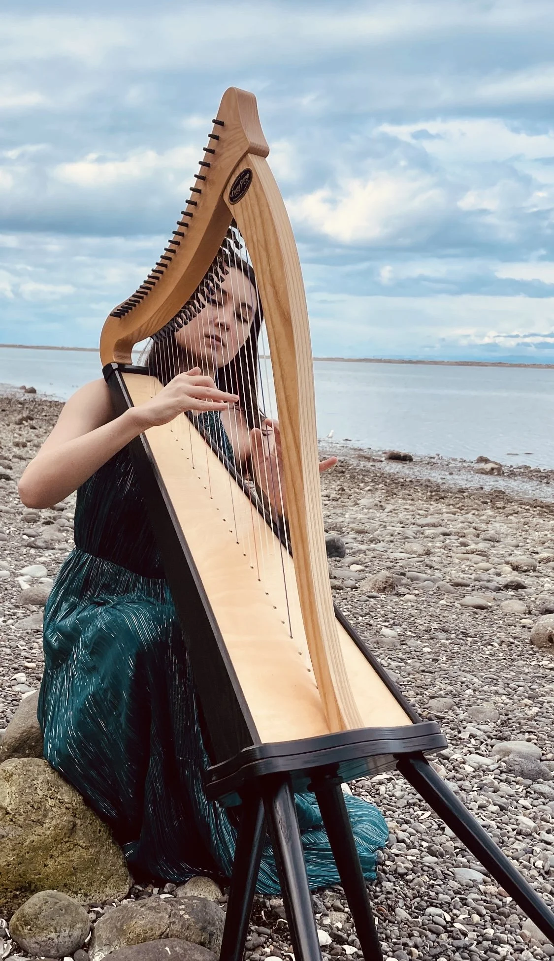 Sounding Conservation: Music for Birds