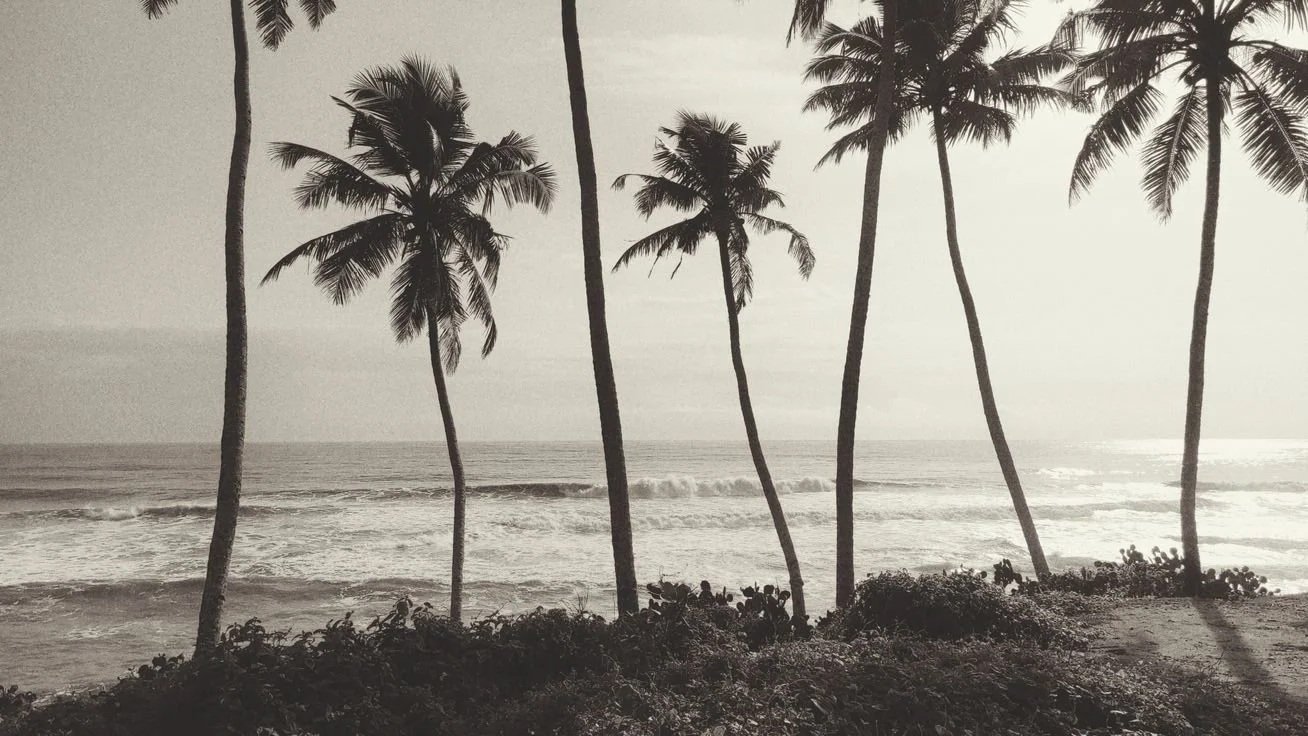 8 activities to do on the North Shore of O’ahu