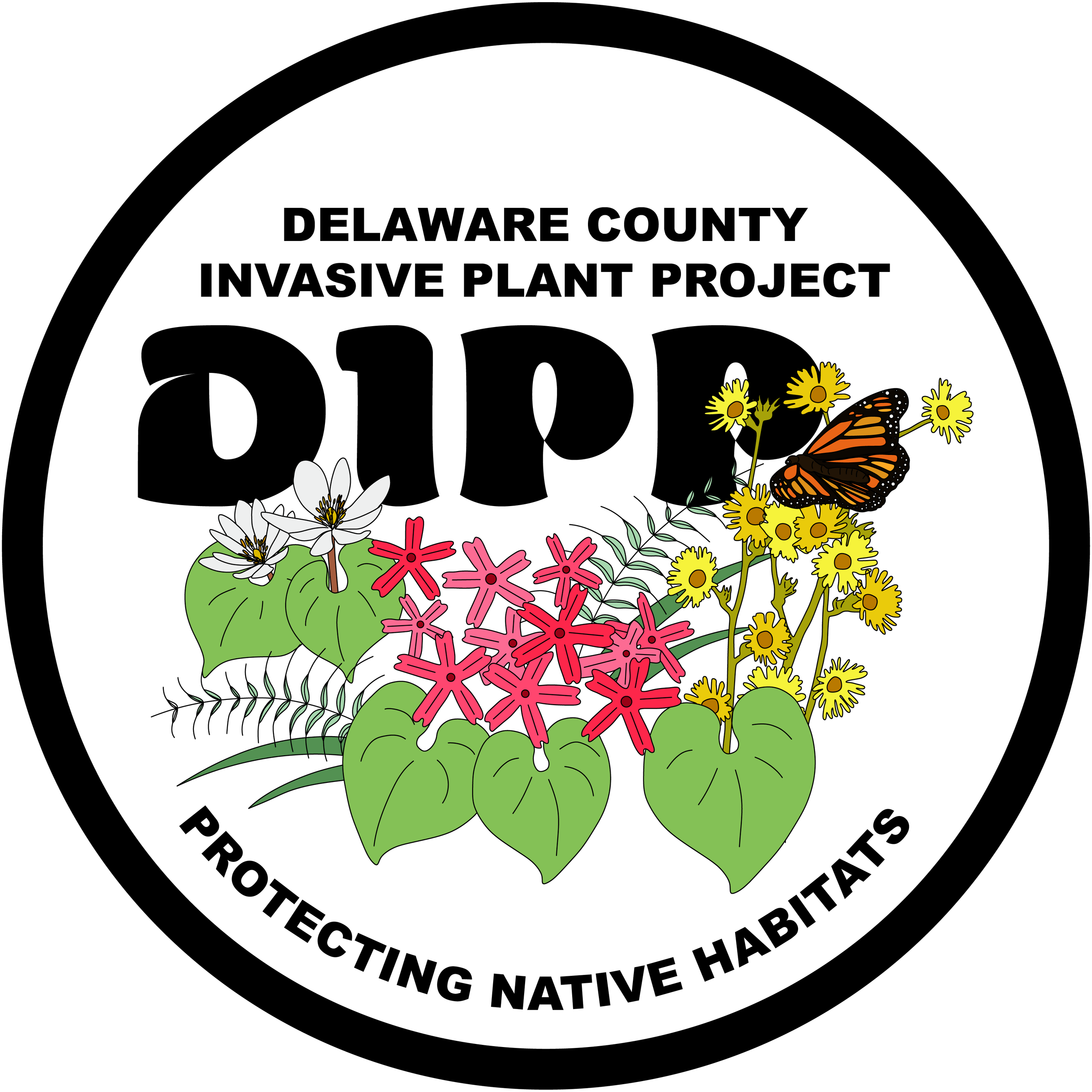 DIPP Logo Final (4).png
