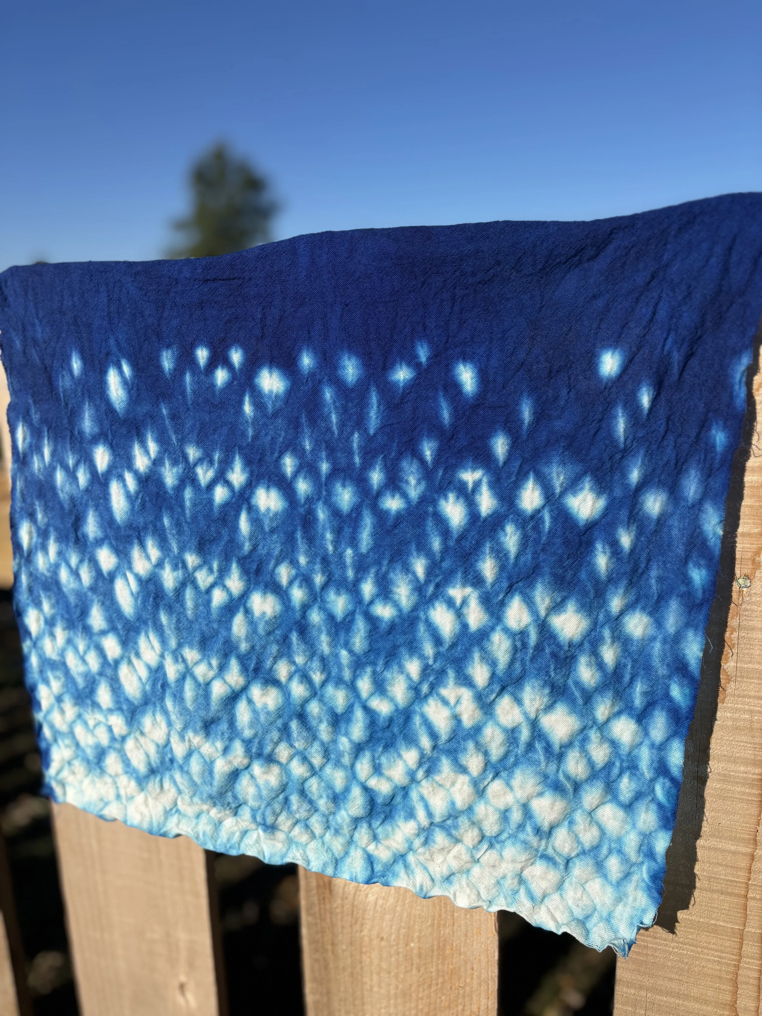 shibori3.jpg