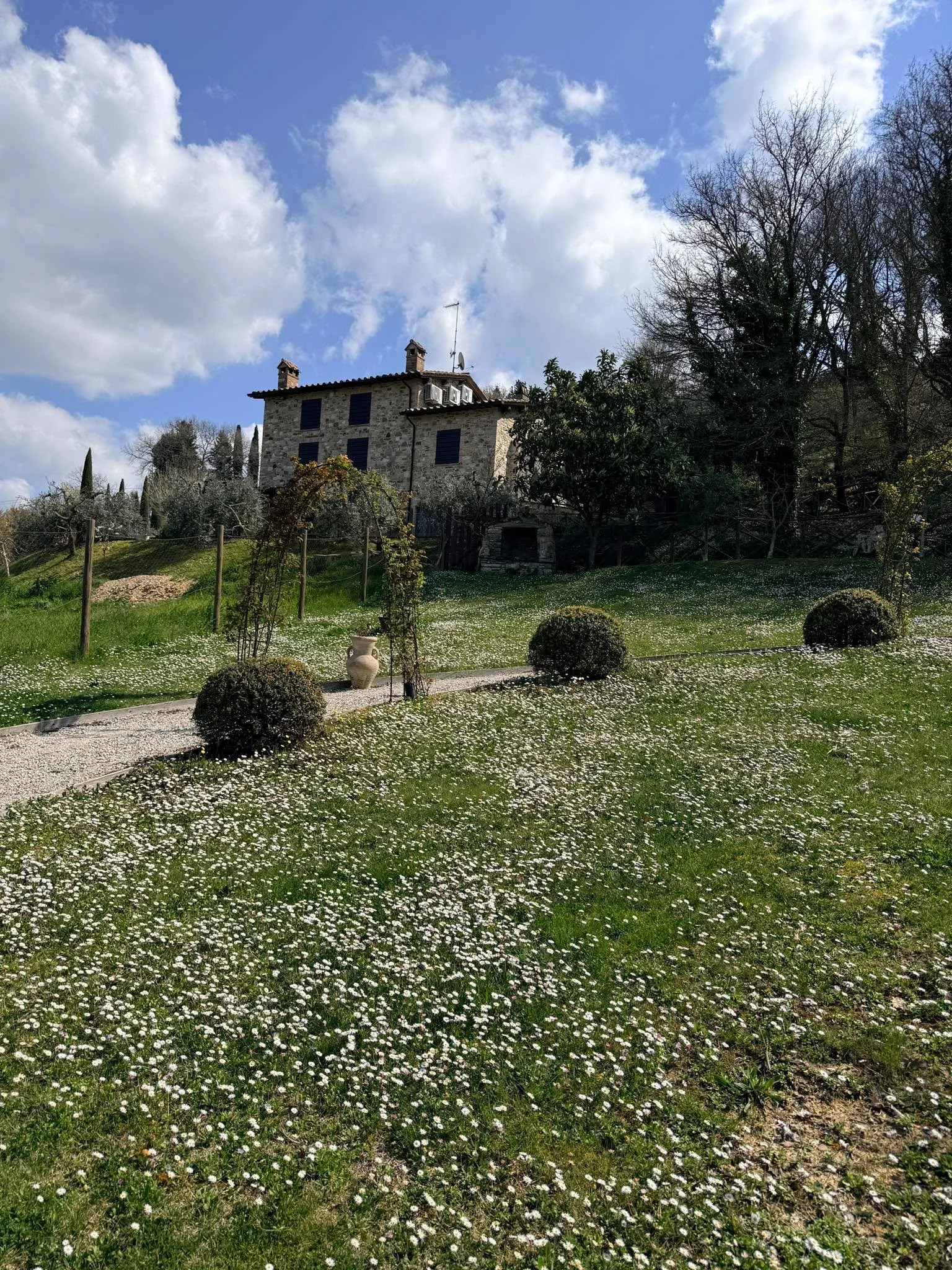 &ldquo;Bellissime&hellip; ma ancora pi&ugrave; sublime il profumo&hellip;
mi riportano l&igrave;, bambina, a giocare libera sull&rsquo;erba, tra sogni semplici e felicit&agrave; pura.&rdquo;