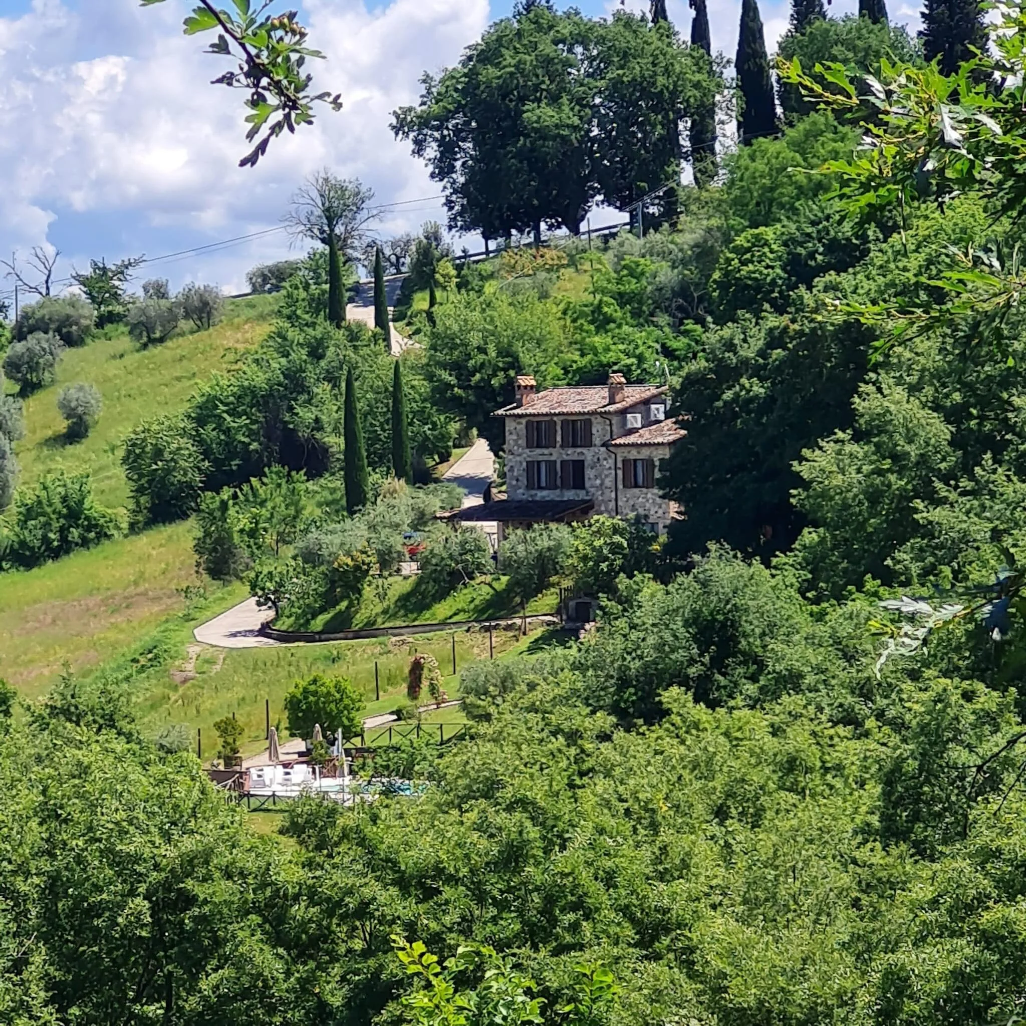 &ldquo;At Tenuta Capitolini, time slows down, silence embraces the hills, and every breath feels filled with peace, nature, and authentic beauty.&rdquo; 🌿☀️
